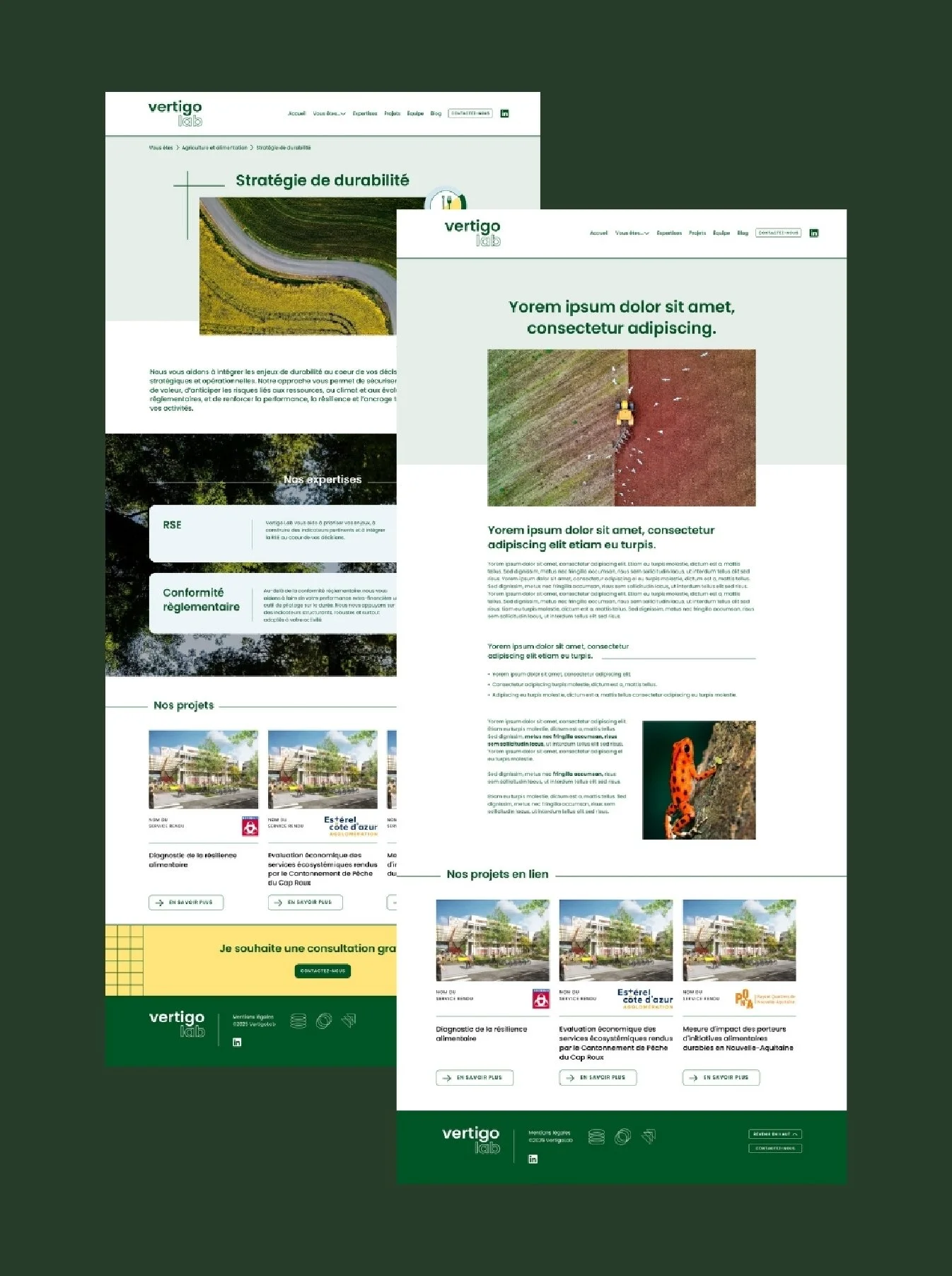Page web de Vertigo Lab, une entreprise axée sur la durabilité et la gestion environnementale, avec des images de paysages, et de projets à impact écologique. 