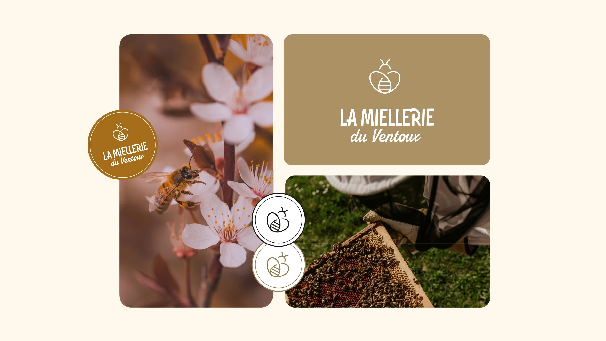 la-miellerie-du-ventoux-identite-visuelle-logo.jpg