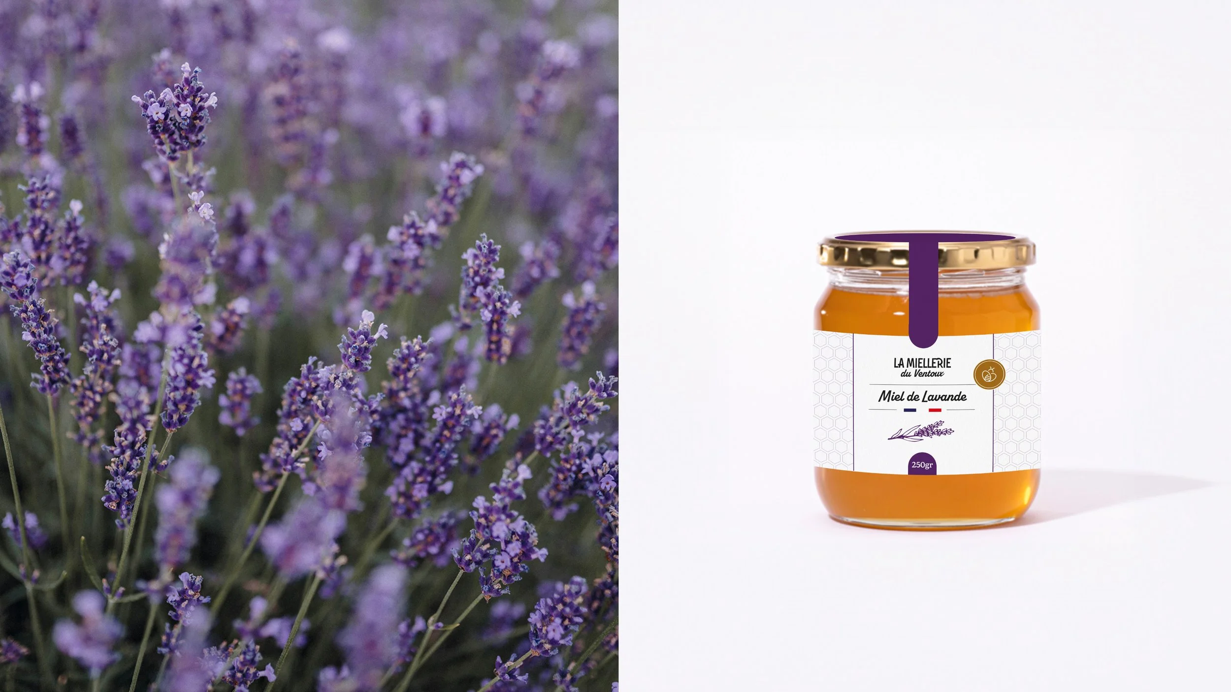 la-miellerie-du-ventoux-identite-visuelle-packaging-miel-lavande.jpg