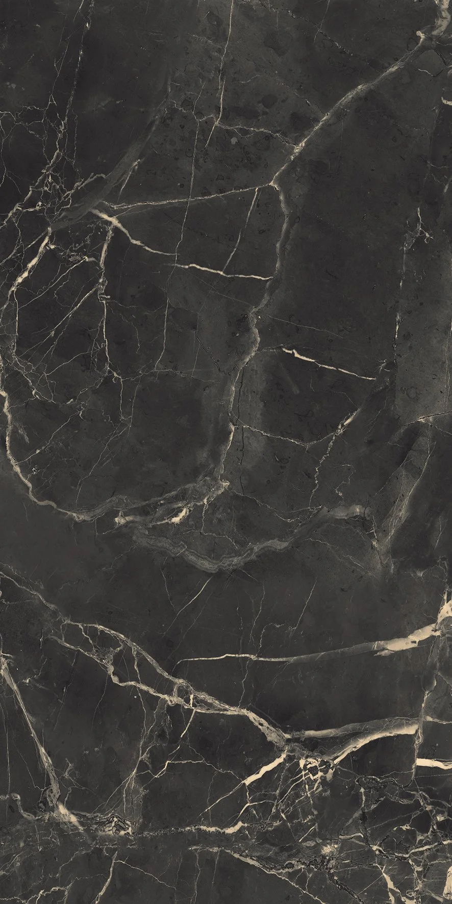 24x48 LUC Polished Porcelain Tile (2 tiles)