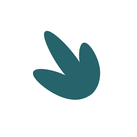 A dark teal, hand-shaped object resembling a stylized leaf or bird in flight, with a simple, minimalist design.