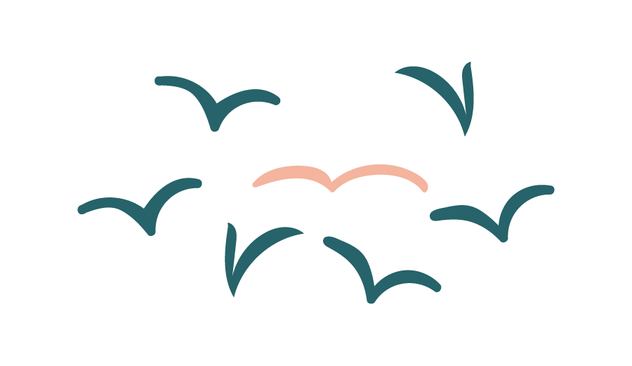 Stylized illustration of a flock of six birds flying with one pinkish-beige bird in the center.