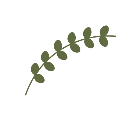 Illustration of a eucalyptus branch with green leaves.
