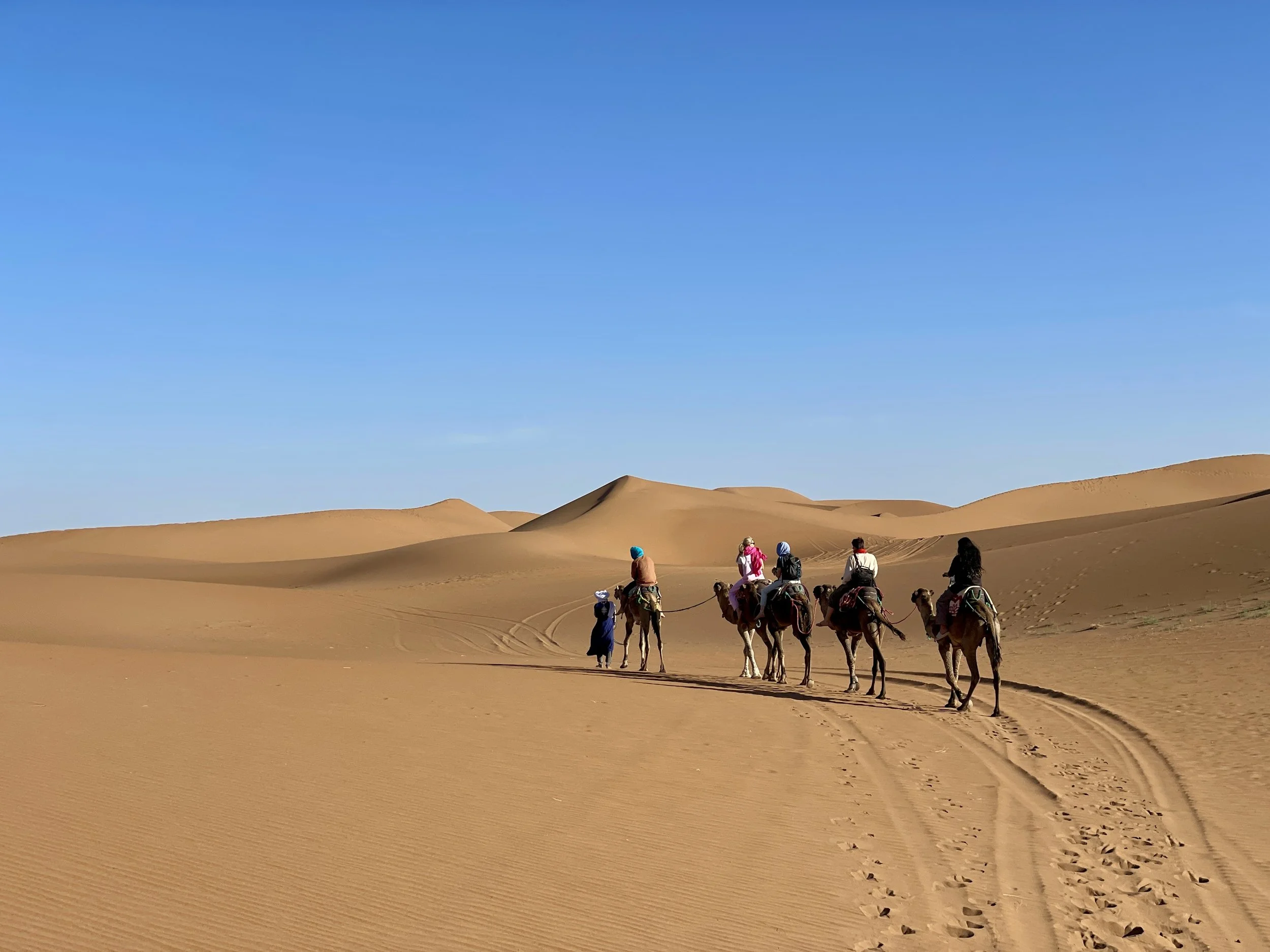A group of people riding camels in a desert, walking in a line across golden sand dunes under a clear blue sky.