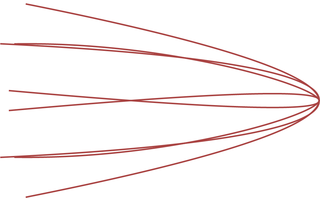 Multiple curved lines forming a complex network pattern on a black background.