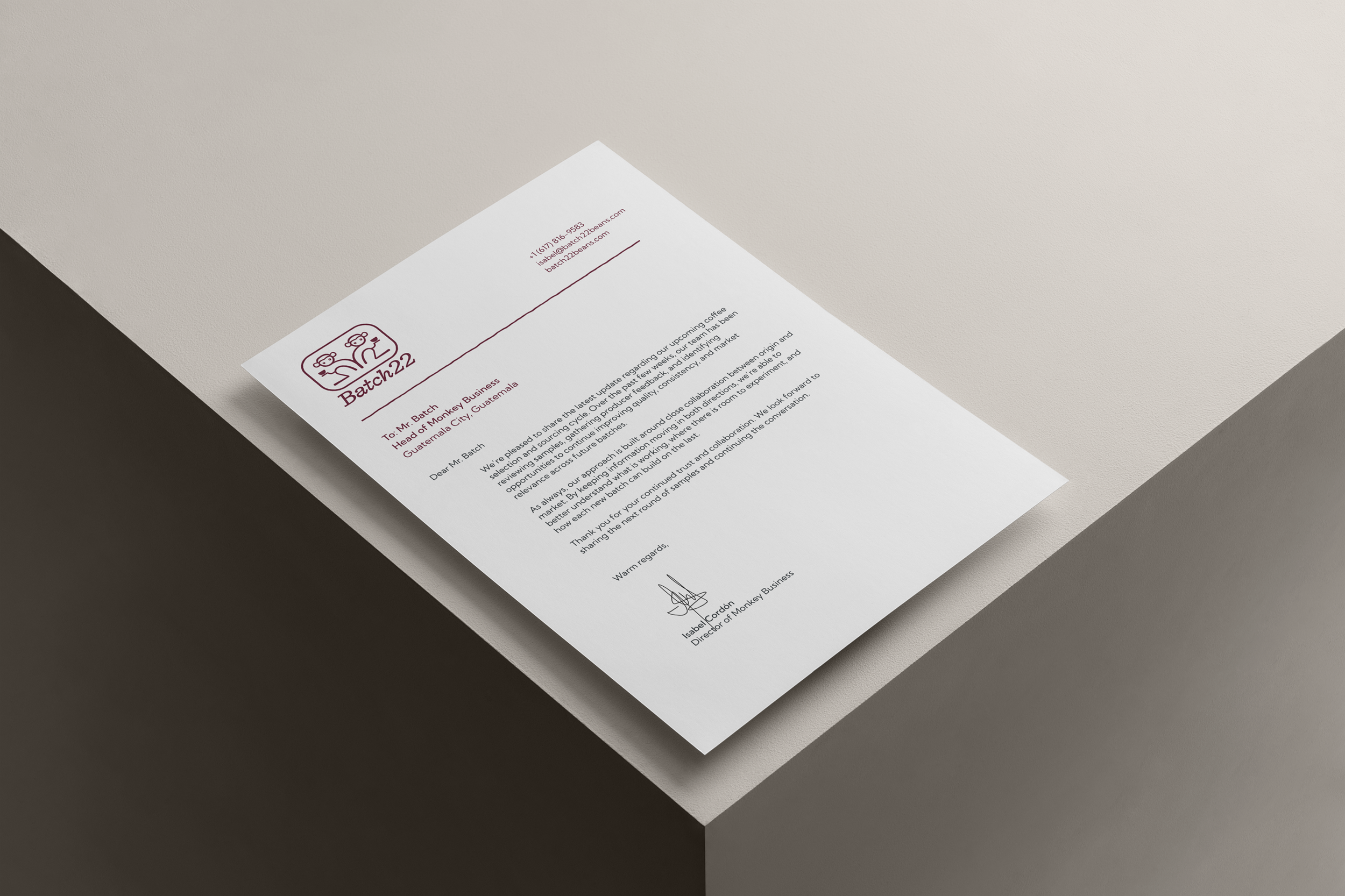 Free A4 Letterhead Mockup 1.png