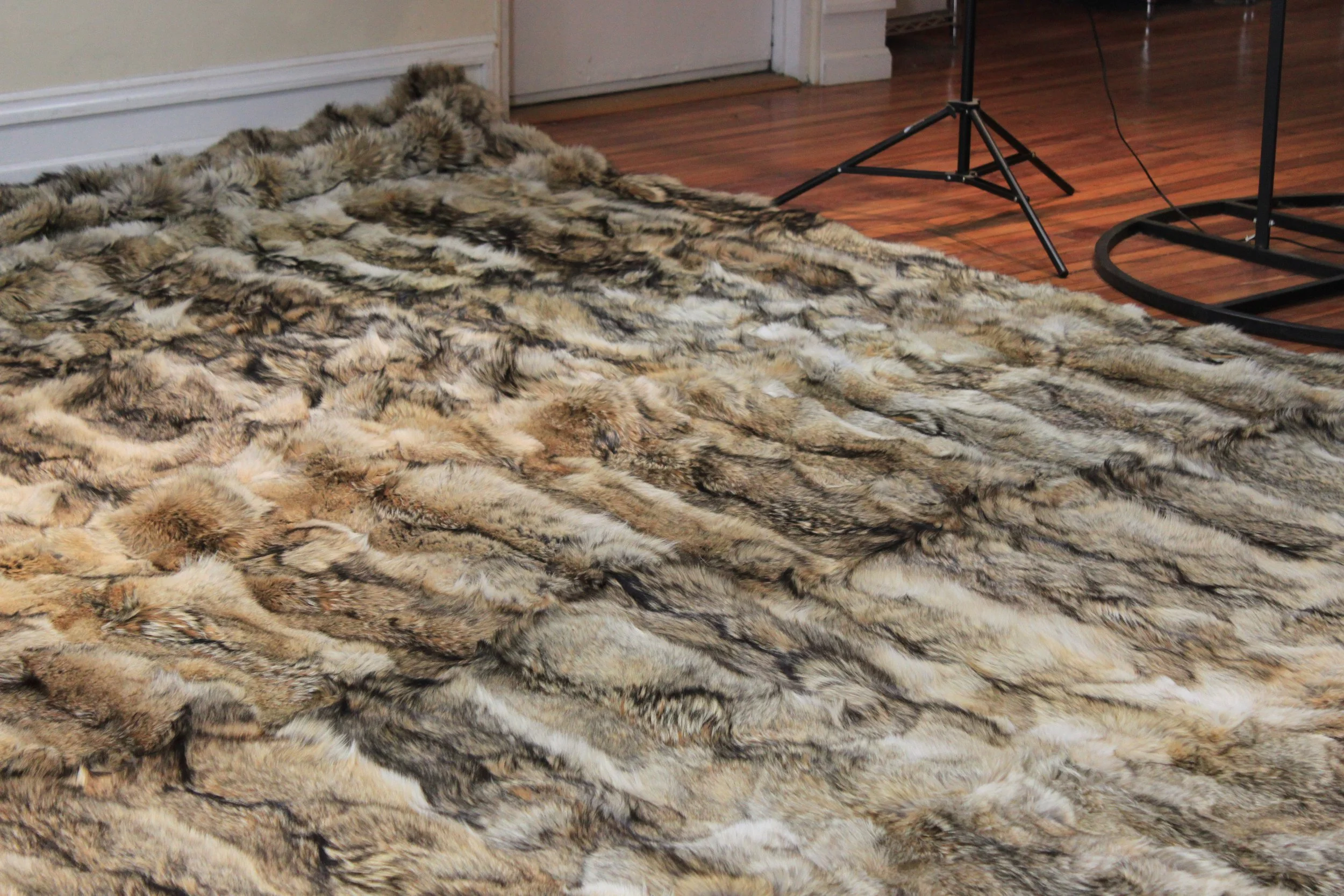 Copy of Coyote Fur Rug 2 Dualoy Leather.JPG