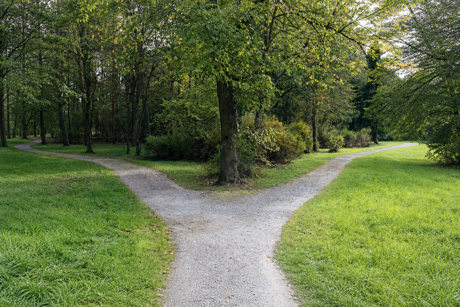 A fork in a gravel path within a lush green park, surrounded by trees and grass.