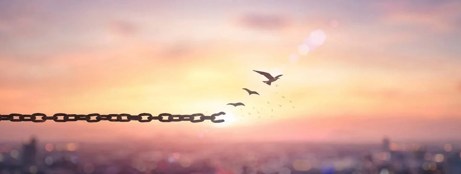A chain with one end attached to an object, with birds flying away from the chain against a colorful sunset sky.