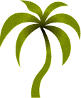 Stylized green palm tree graphic on a black background