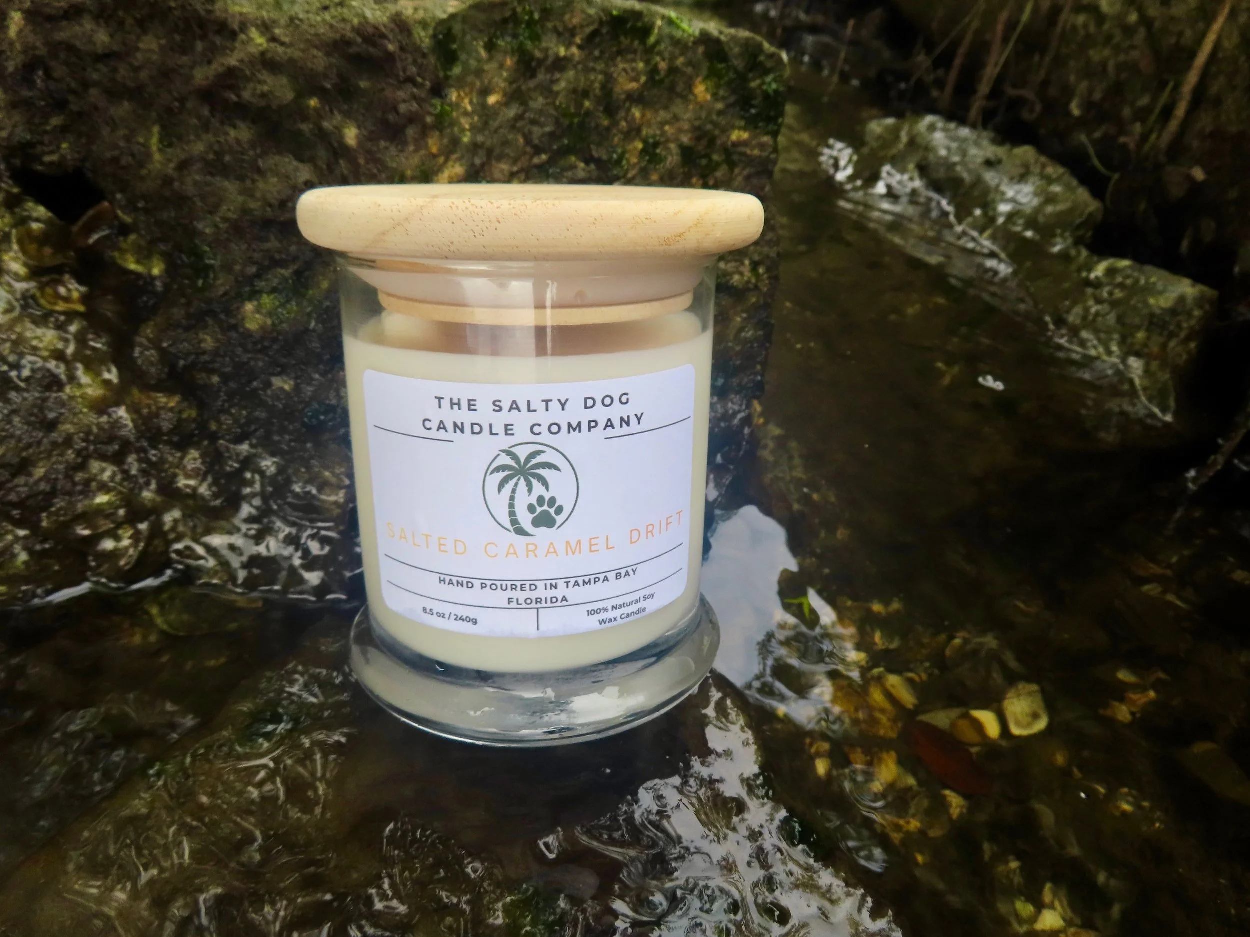 A candle labeled 'The Salty Dog Candle Company' with coconut palm logo and salted caramel drift scent, placed on a wet rock surface near water with small pebbles.