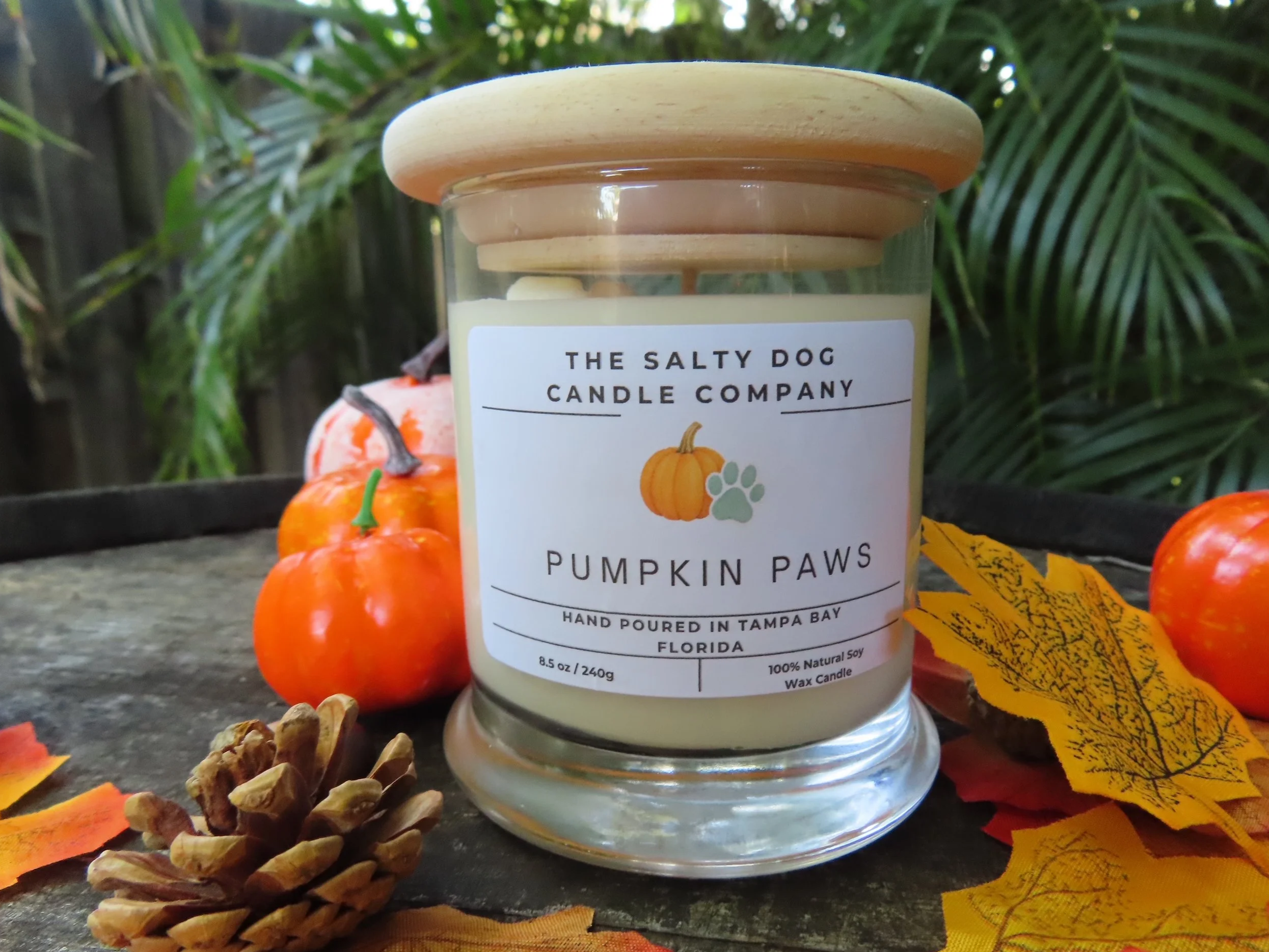 Pumpkin Paws