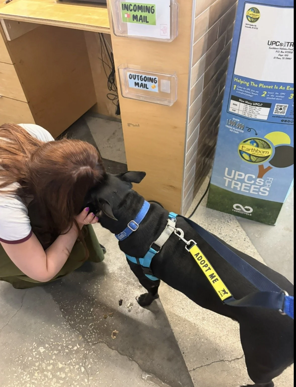 A woman crouching down and hugging her black dog, who is wearing an 'Adopt Me' vest, in front of a mail drop box labeled for incoming and outgoing mail. The woman has long reddish-brown hair and is wearing a white shirt with maroon trim and green pants.