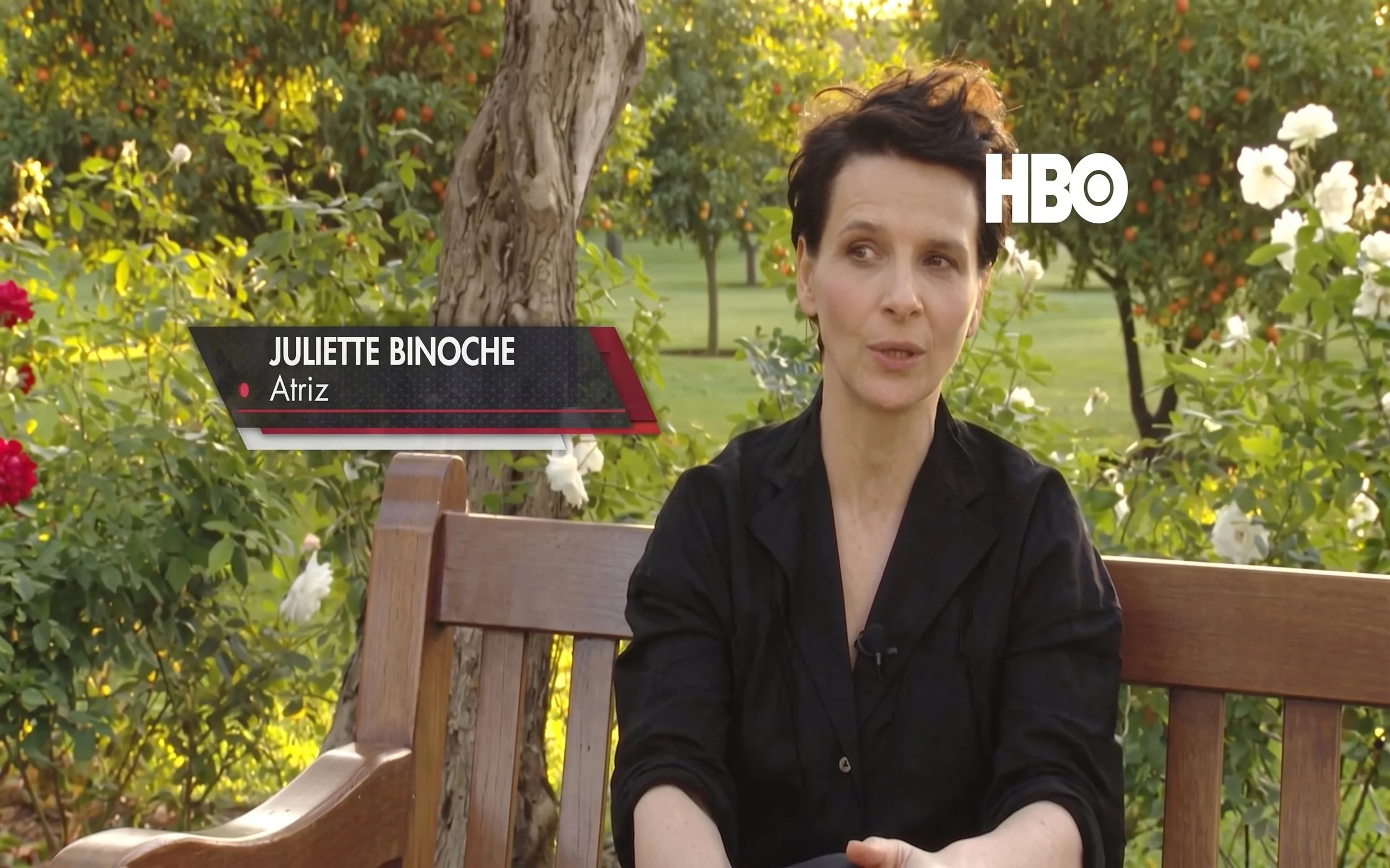 FRAME HBO 9.jpg