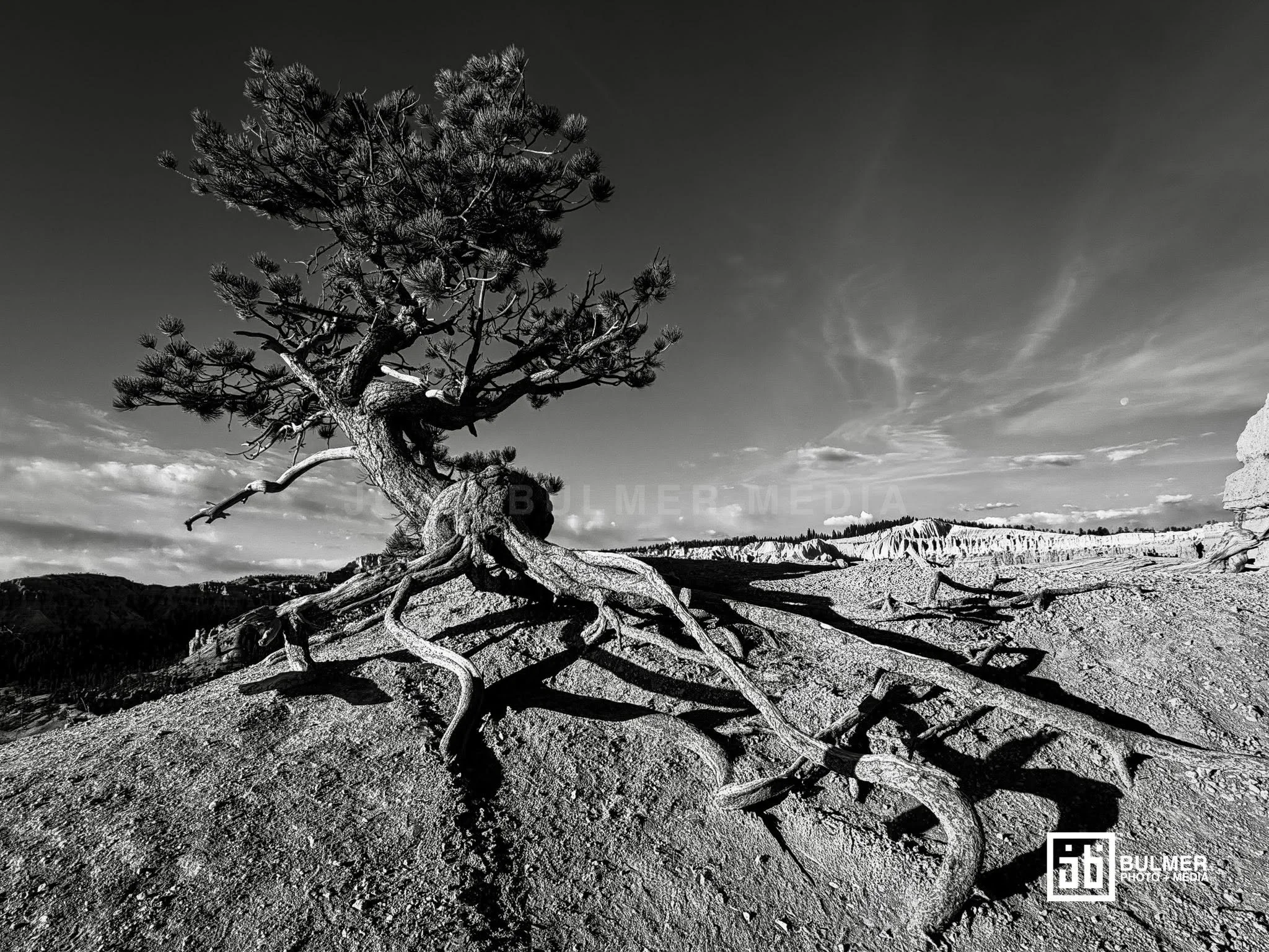 Bryce Canyon National Park Series 2