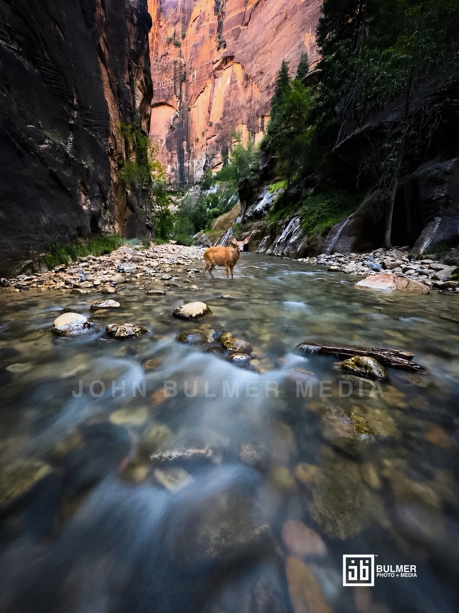 Zion National Park Series 2