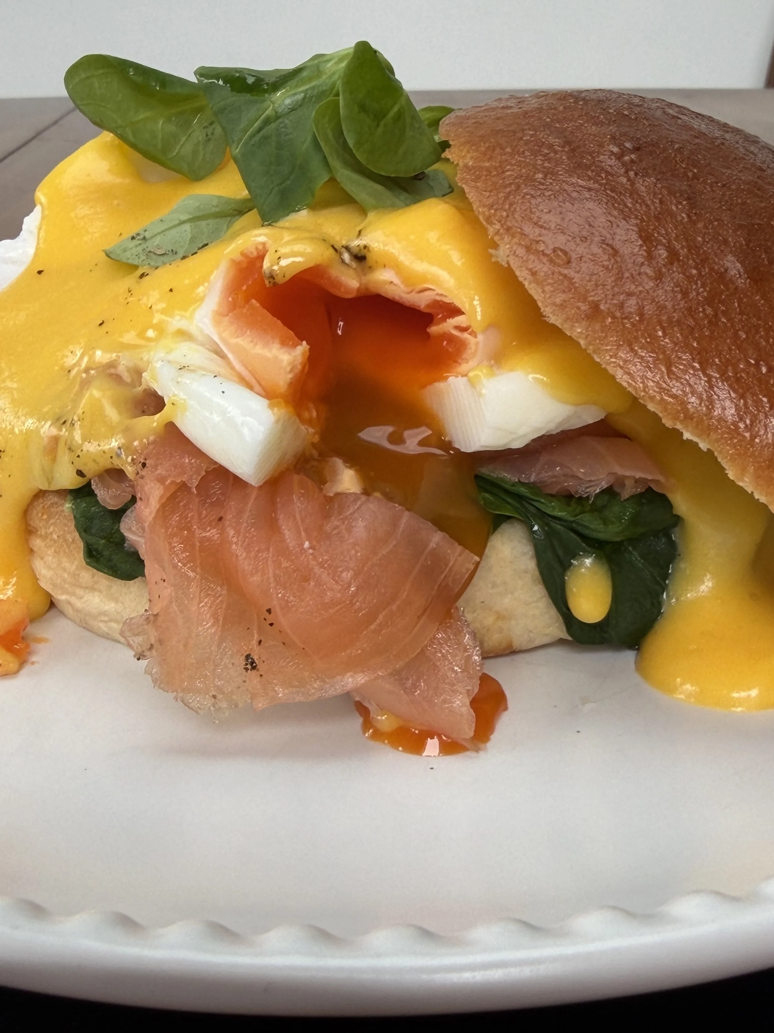 EGGS BENE 8.jpeg