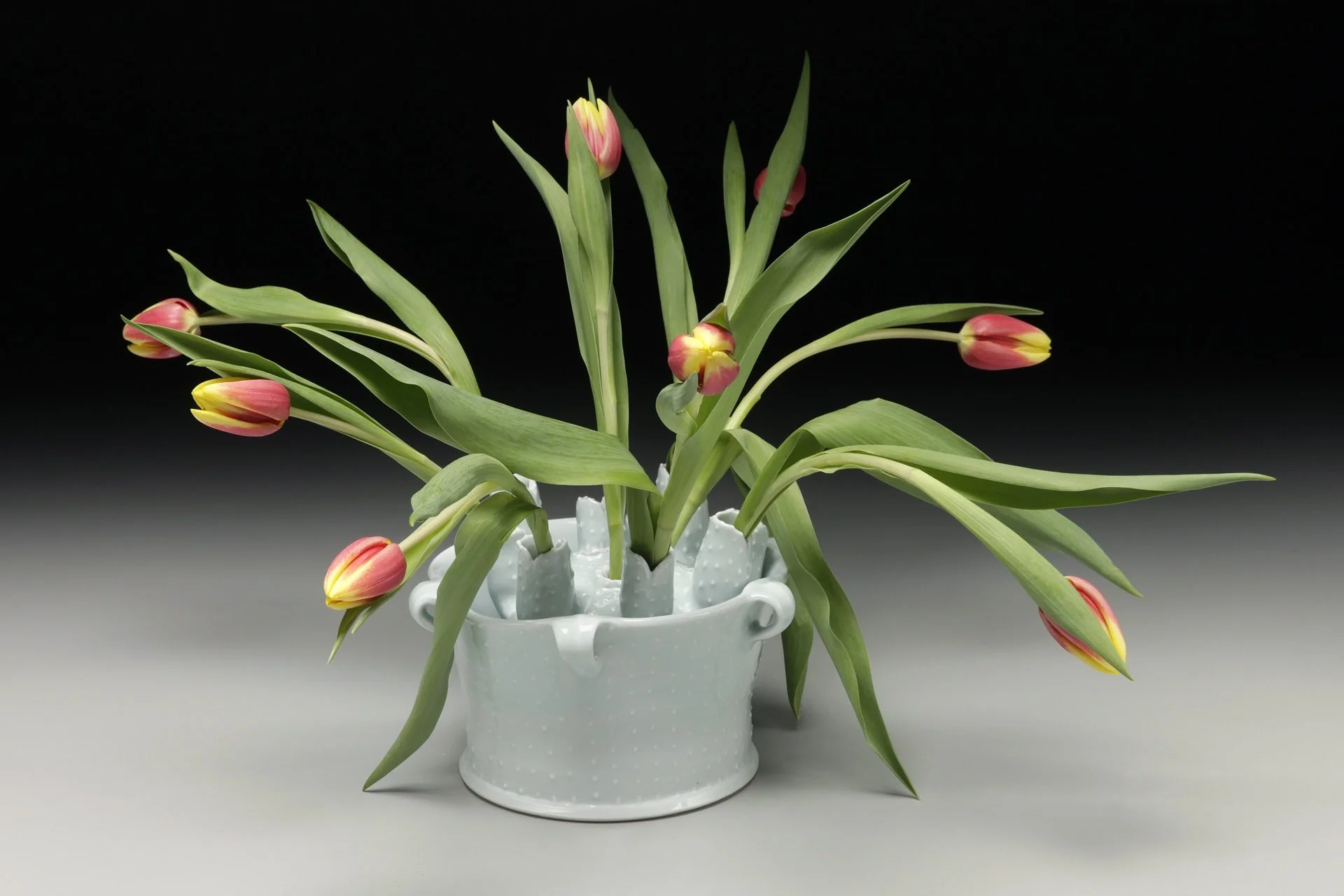 Tulipiere.jpg