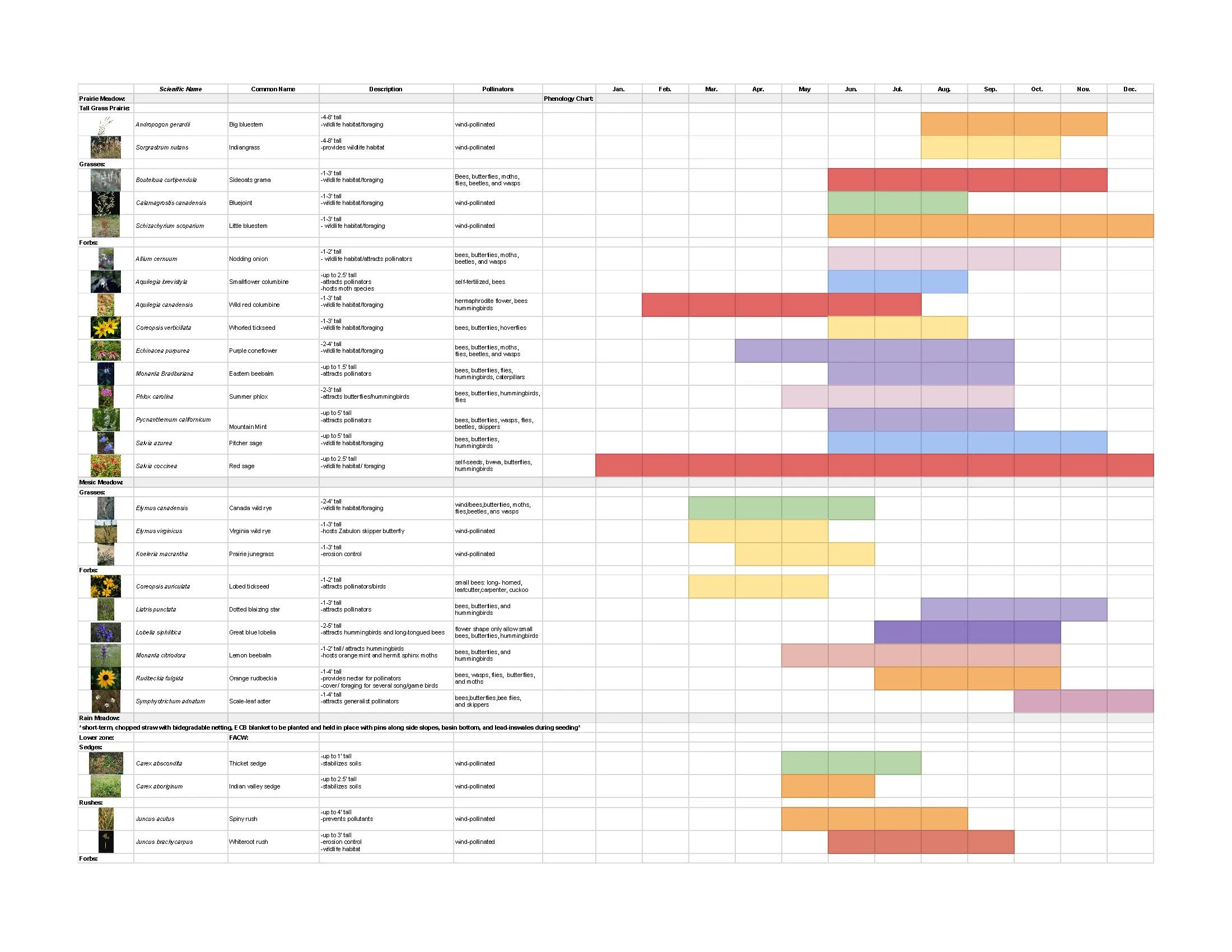 4a Palette - Sheet1_Page_1.jpg