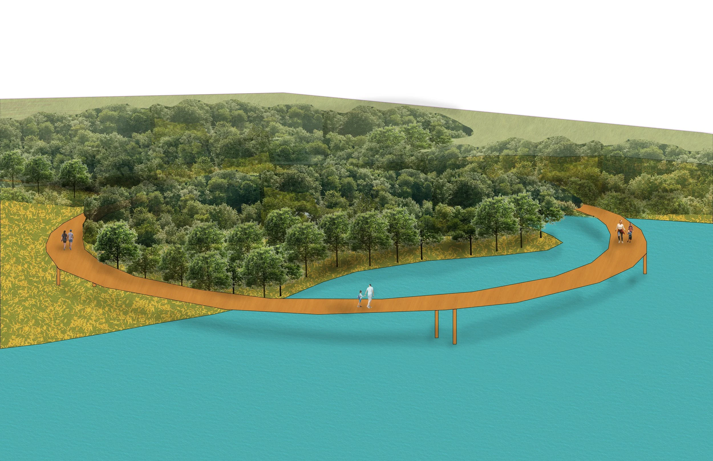 Wetland_Walk.jpg