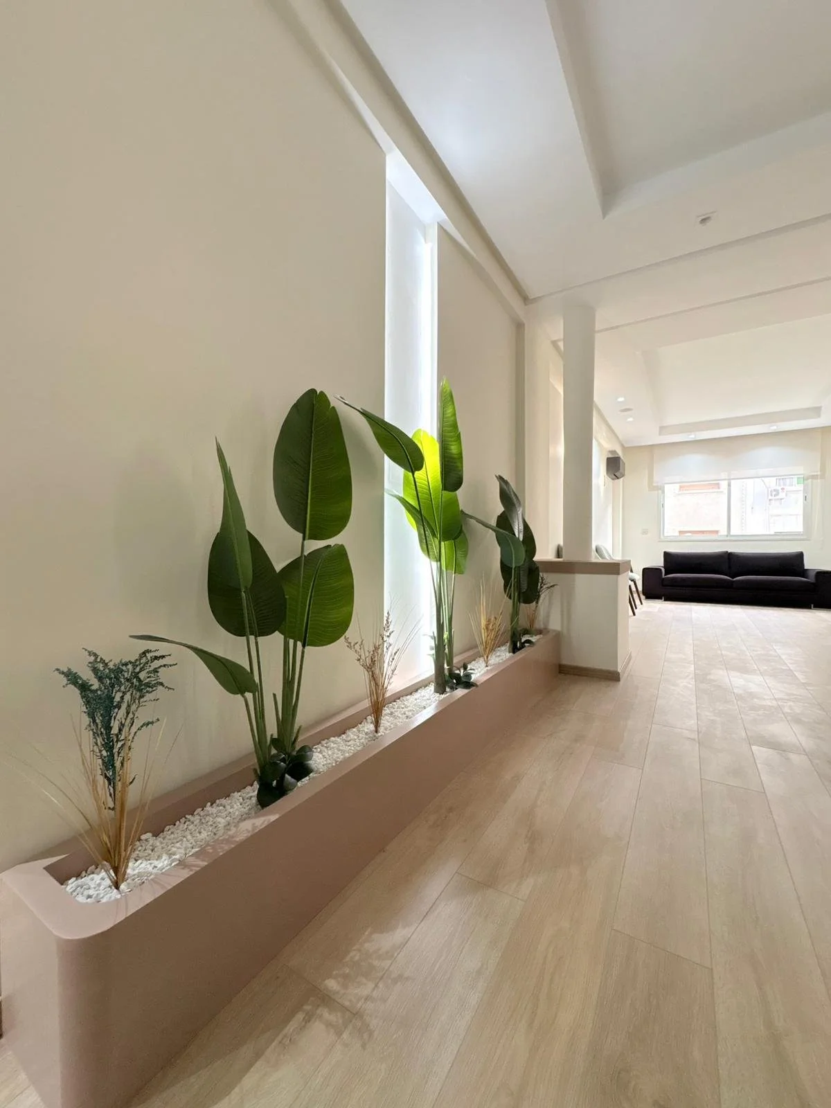 Intérieur spacieux d'une salle d'attente ou salon avec un mur blanc, un sofa noir, un grand fenêtre, et une jardinière en largeur contenant des plantes vertes dans le coin