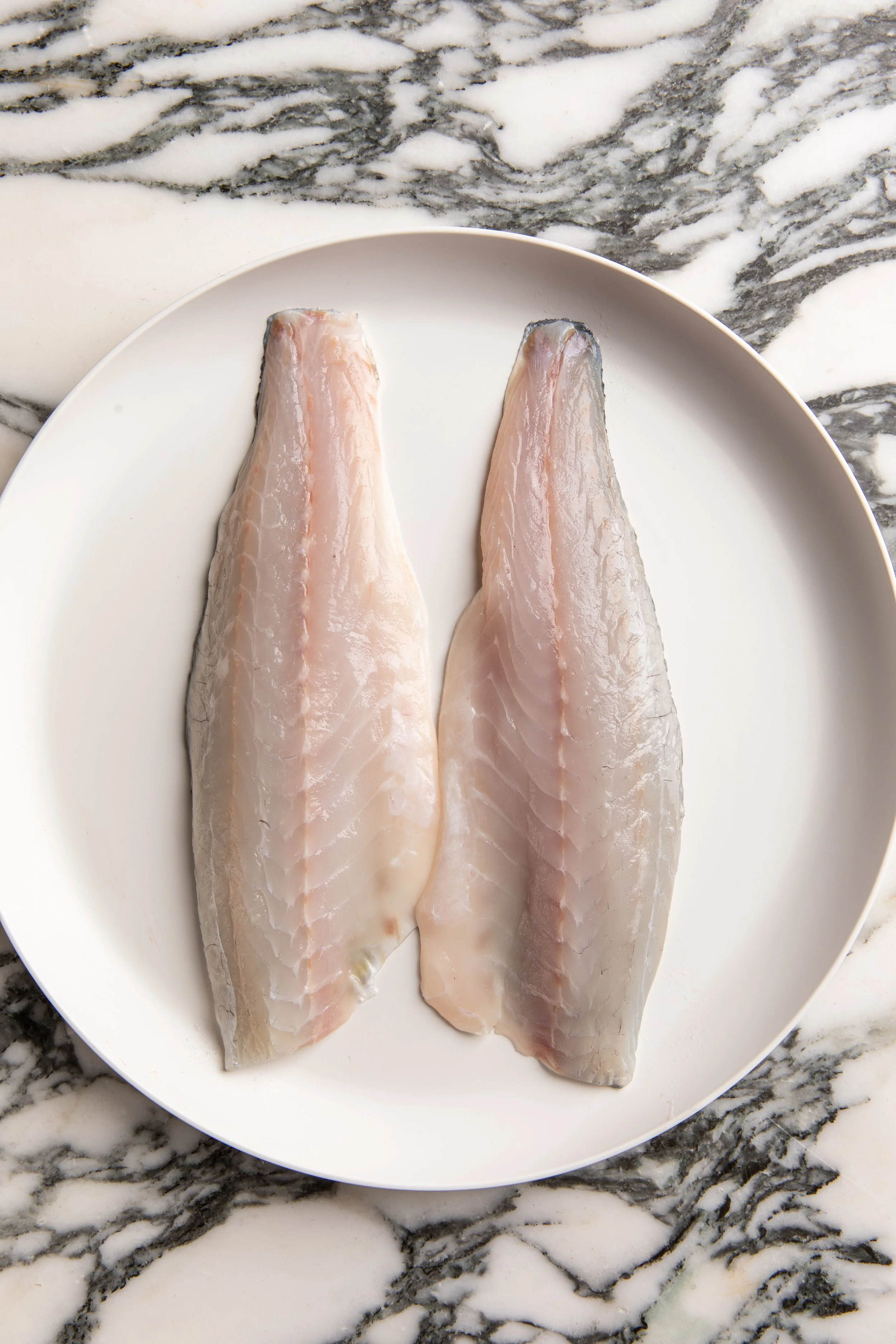 Bronzini Fillet Skin On — approx. 12 oz