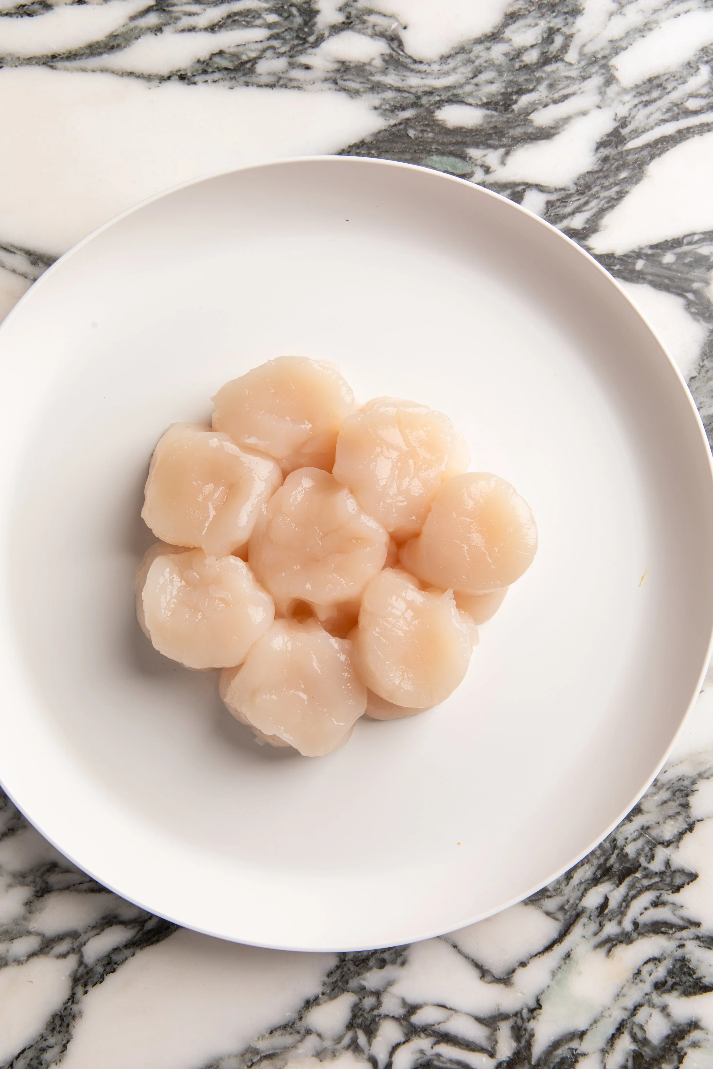 Scallop U/12 Dry Pack Frozen — approx. 13 oz