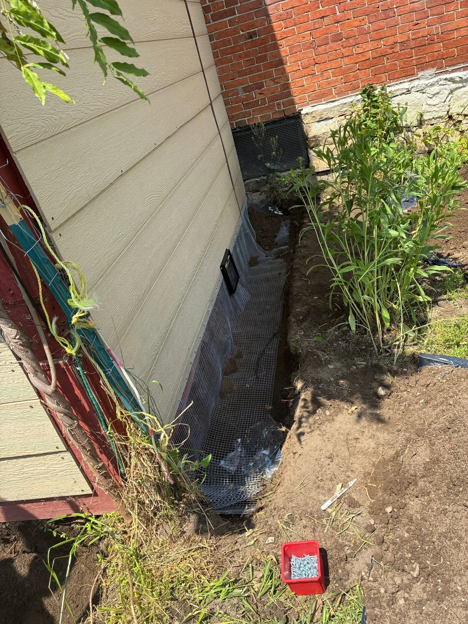 june 28 1.jpg