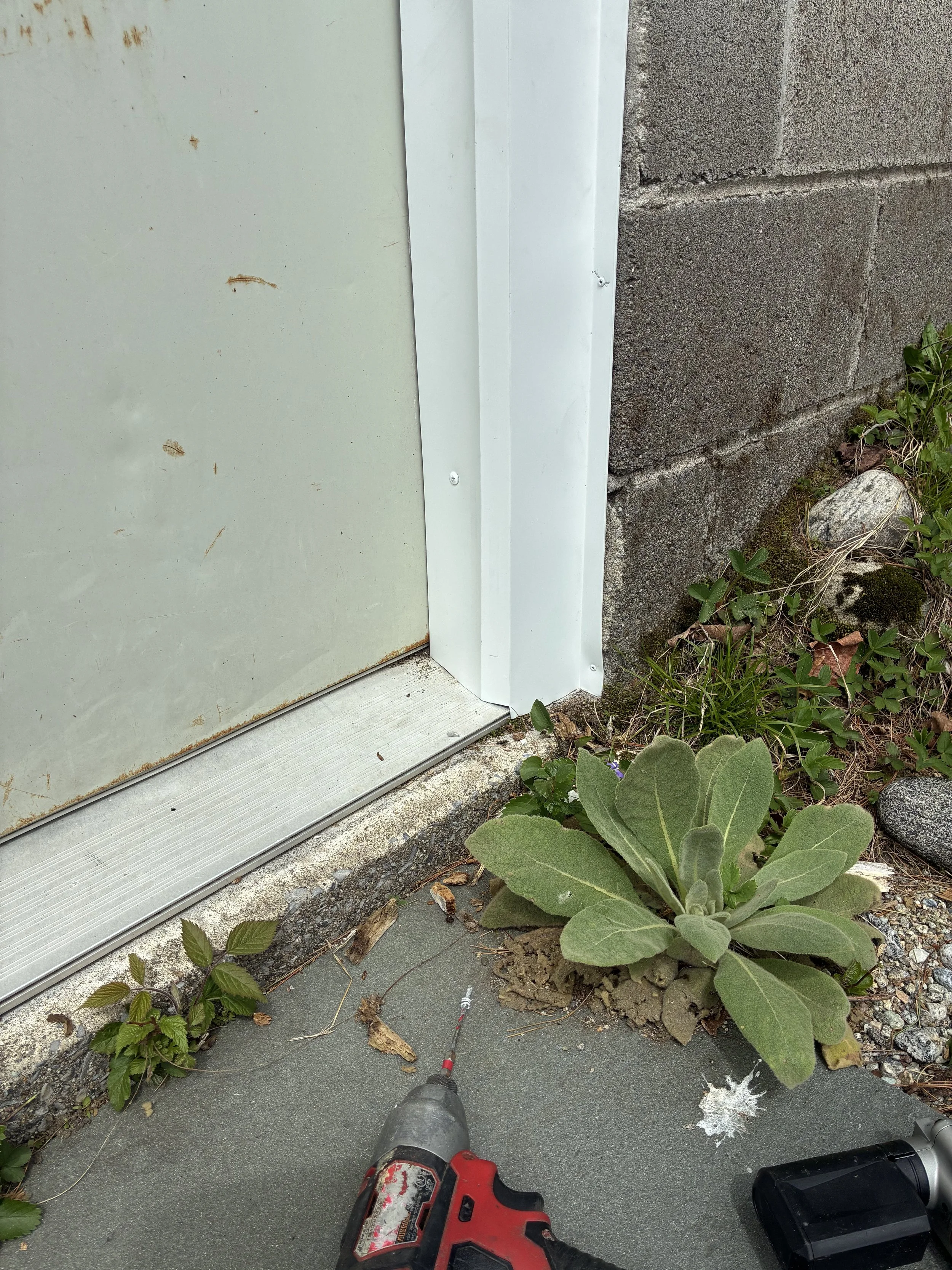 Power drill on concrete surface near green plants, with a lightning bolt graffiti on the ground.
