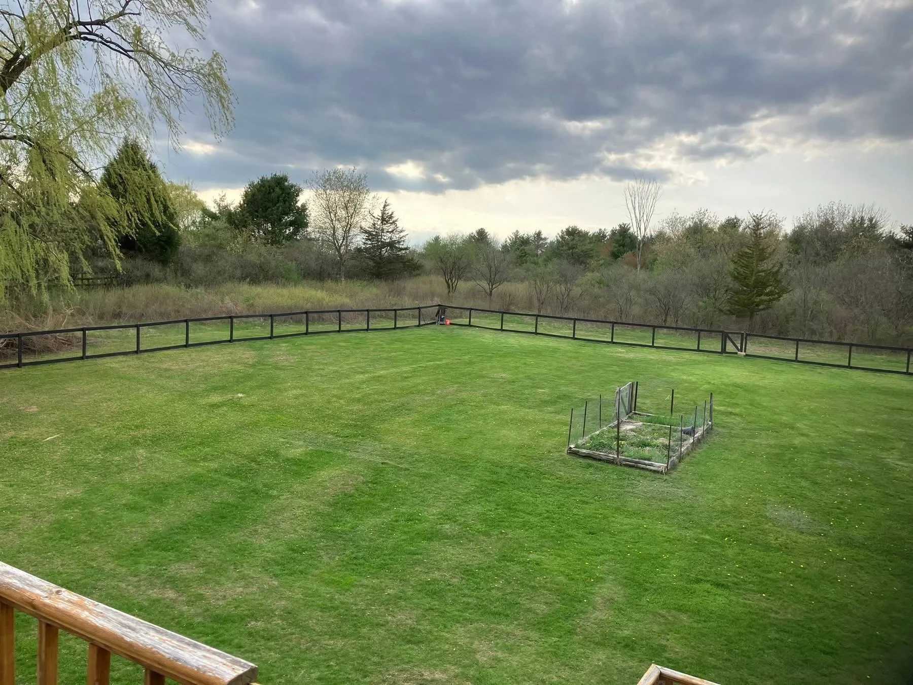 A grassy backyard with a small garden bed near the bottom right. A black fence surrounds the yard, and a wooded area with trees is visible beyond the fence under a cloudy sky.
