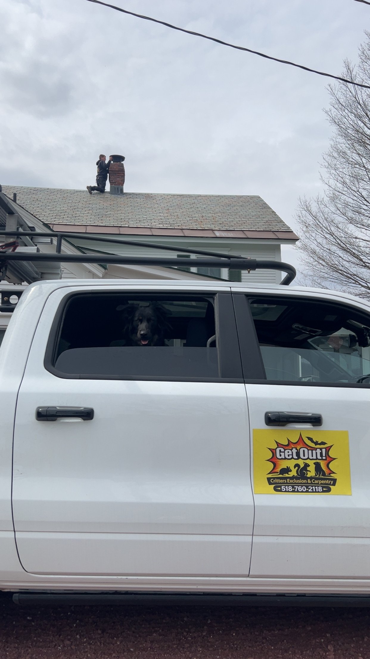 A white truck with a Get Out! critter exclusion and carpentry company sign on the side. A dog is looking out the window. Two people are on the roof of a house, working near a chimney.