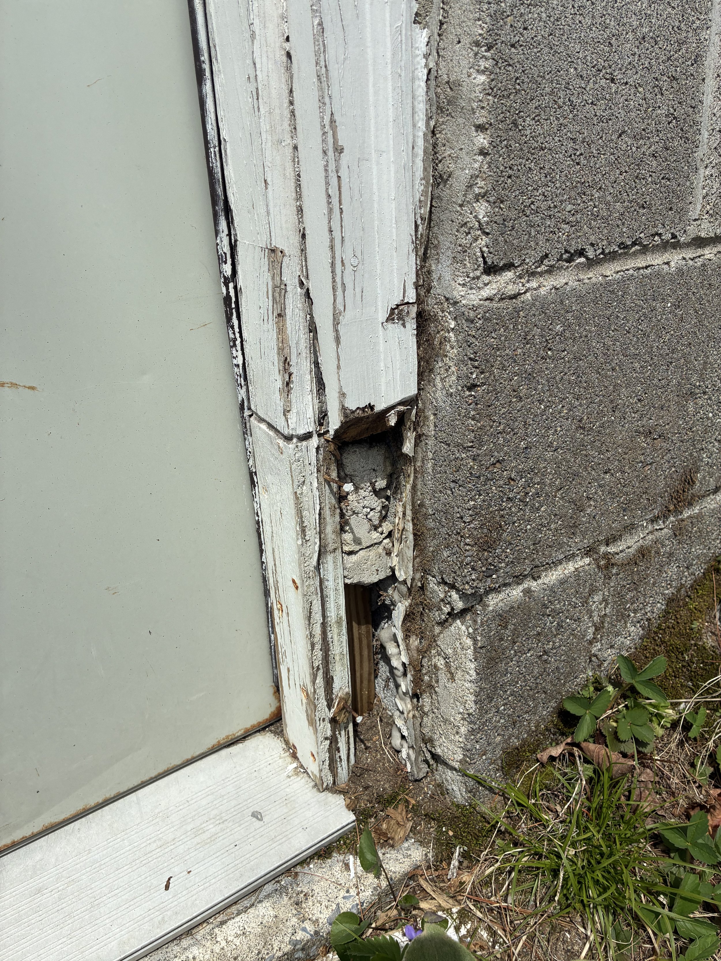 Close-up of a damaged house foundation with peeling paint, cracks, and exposed concrete, surrounded by weeds and plants.