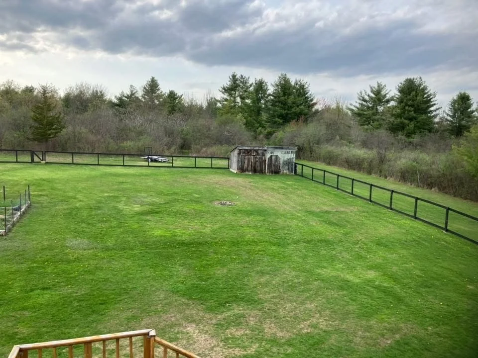 A backyard with a grassy lawn, wooden fence, and trees in the background. There is an old wooden shed and a small boat on the lawn. The sky is cloudy.