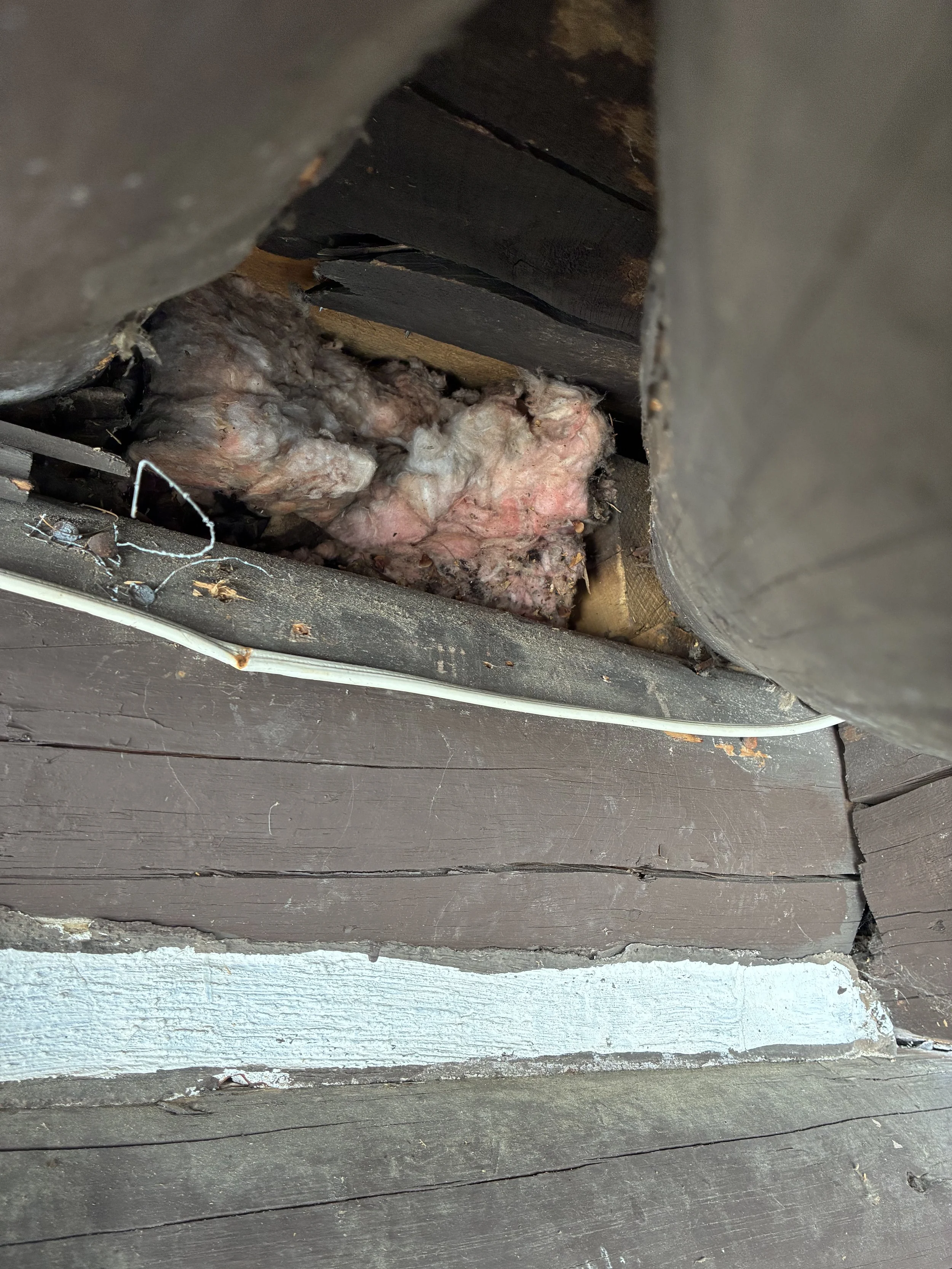 Wildlife Damage Repairs