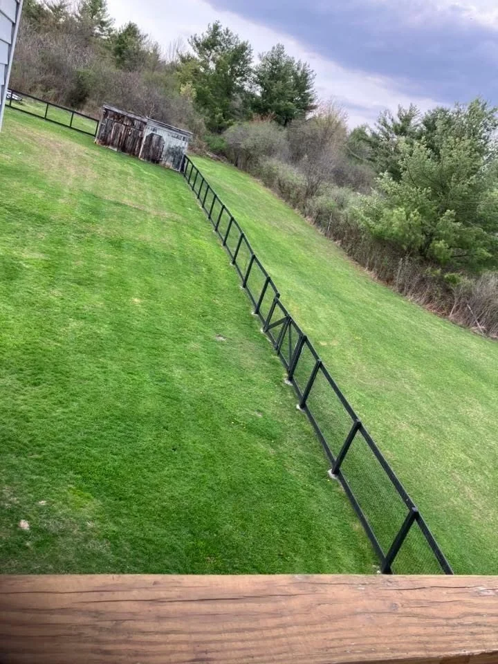 A backyard with green grass, a black metal fence, and a small weathered shed at the back, surrounded by trees and bushes under a cloudy sky.