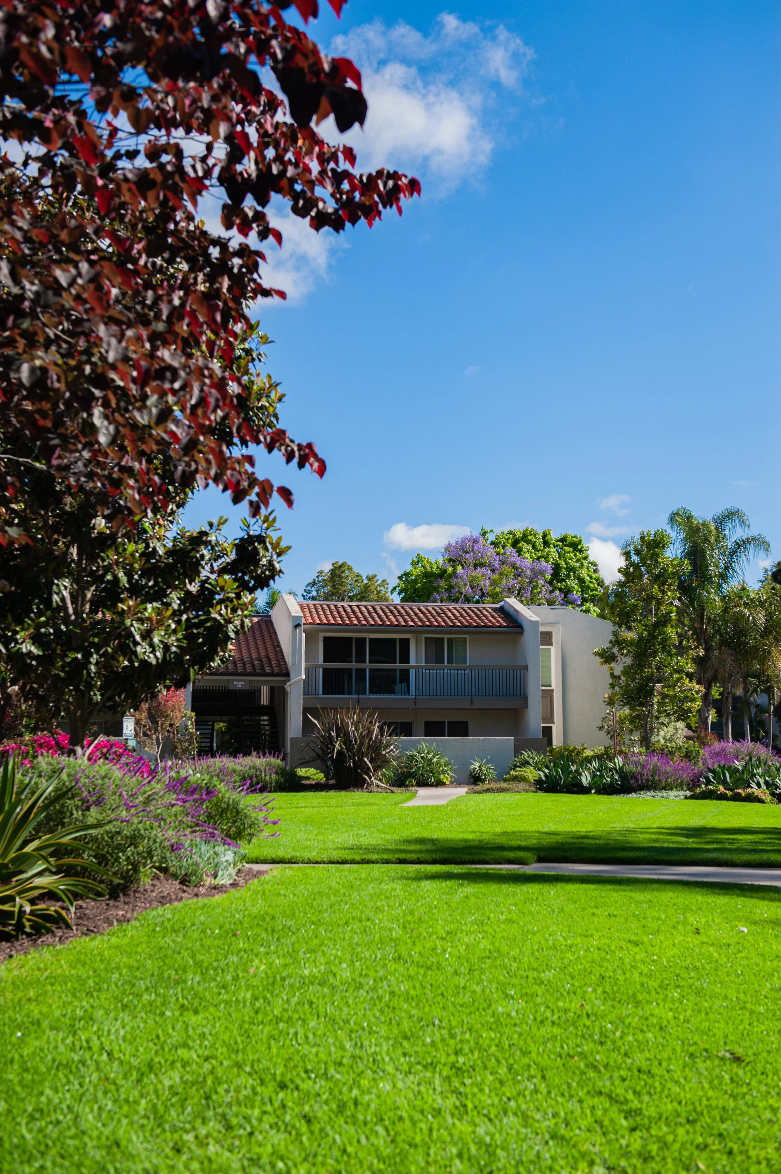 A sunny day view of a well-maintained grassy lawn in front of a residential building with a balcony. There are trees with purple, green, and red leaves, and flowering plants along the edges of the lawn, with a clear blue sky overhead.