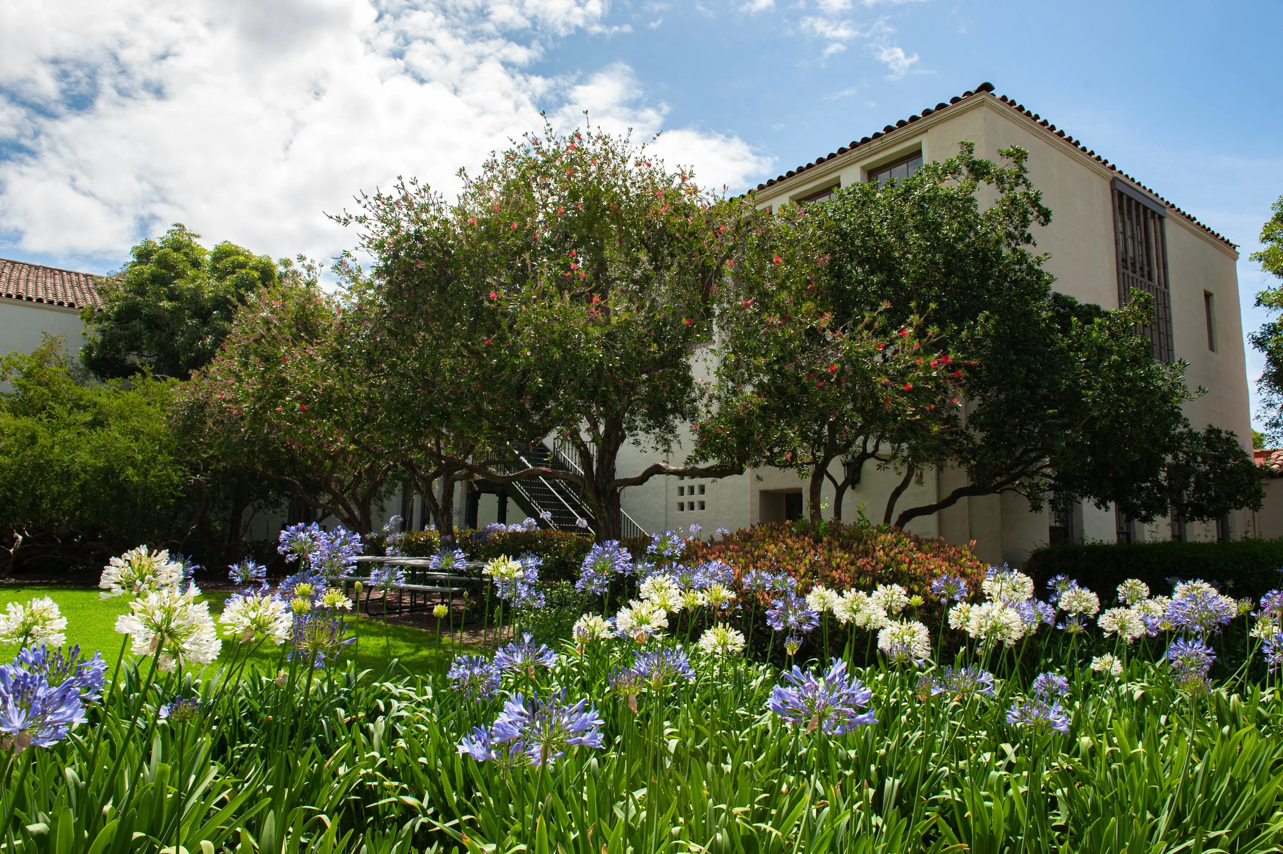 A lush garden with blooming purple and white flowers in the foreground, green trees and shrubs, and a beige building with a tiled roof and large windows in the background, under a partly cloudy blue sky.