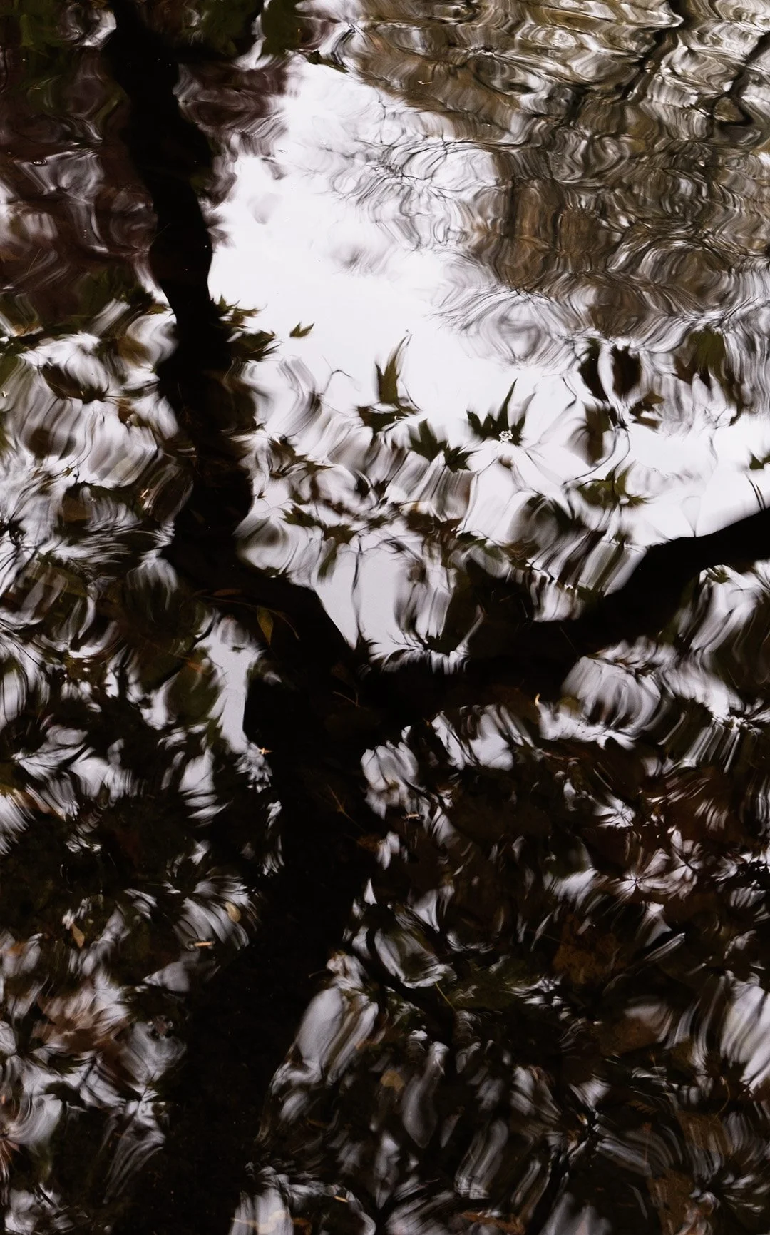 LENS