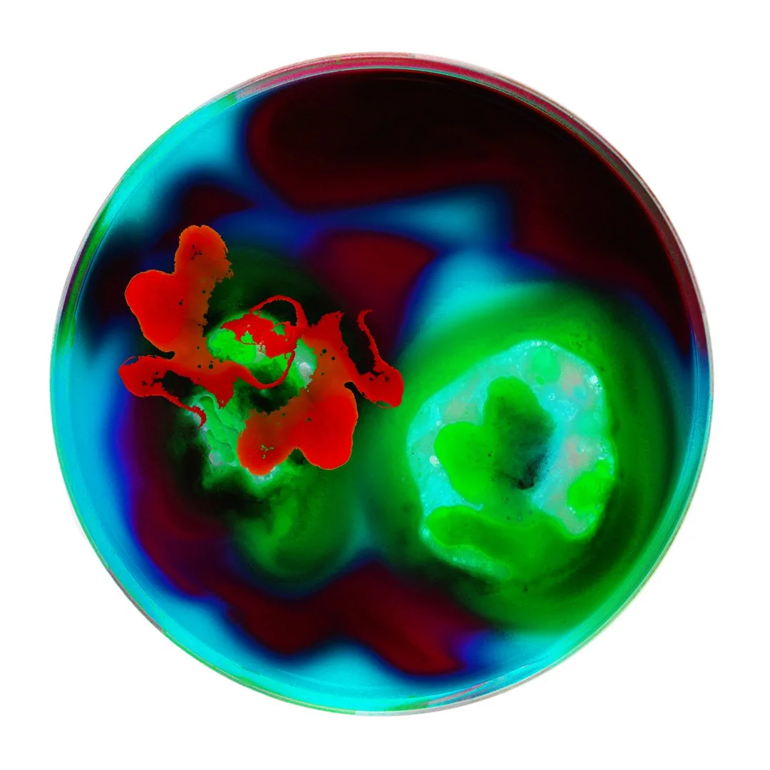 Ab Ovo Chromium Oxide 47, 2026. Ink, watercolour, resin. 8.5 cm. 
Available as hand-finished  limited edition prints, from 20 x 20 cm to 100 x 100 cm. POA.