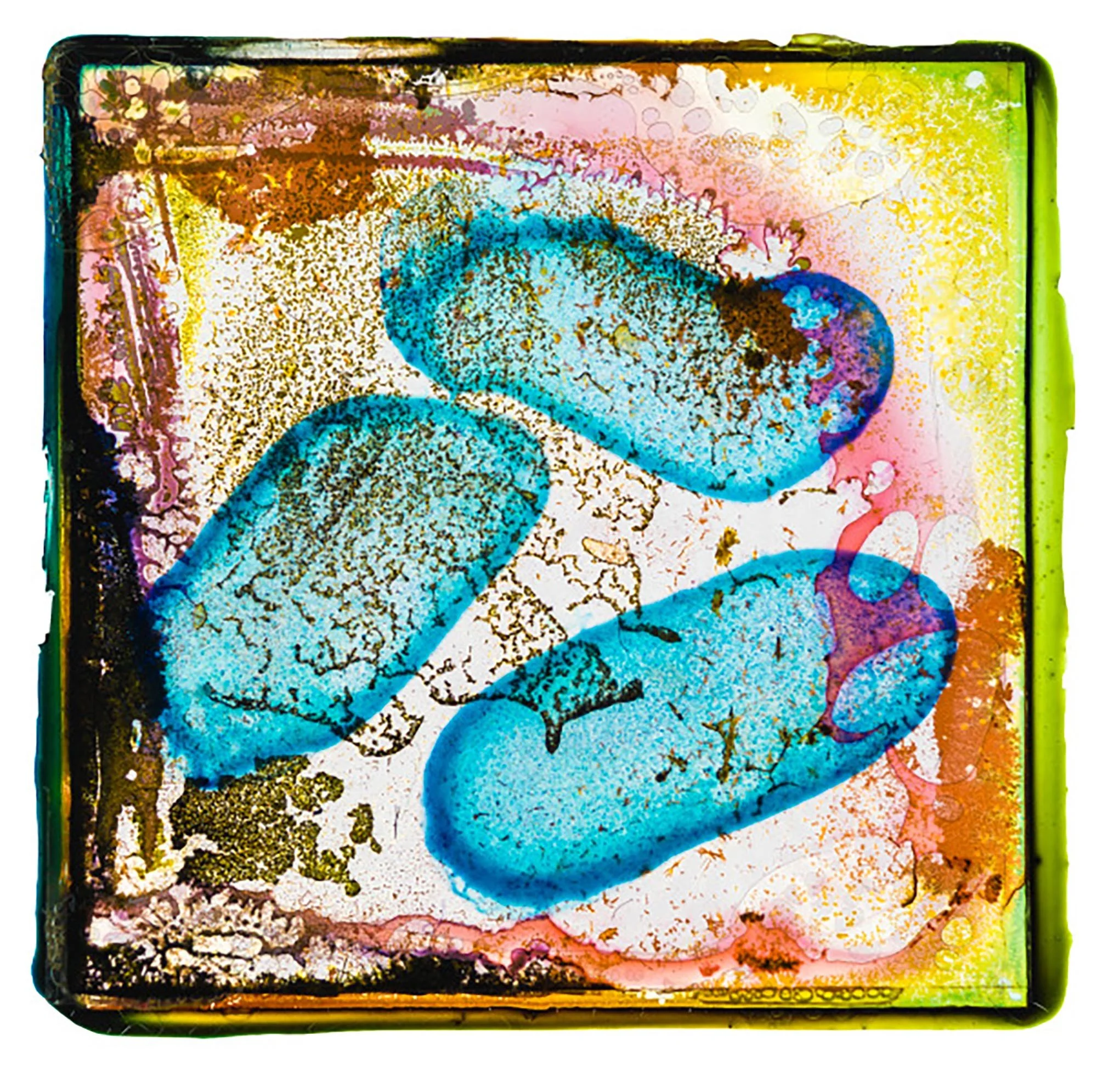 MICROSCOPE