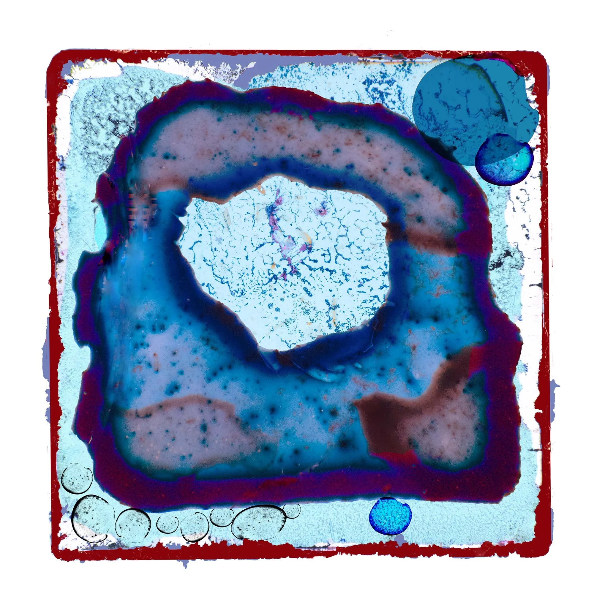 SILK Blue overlay 0Q8A0830-Recovered copy 2.jpg