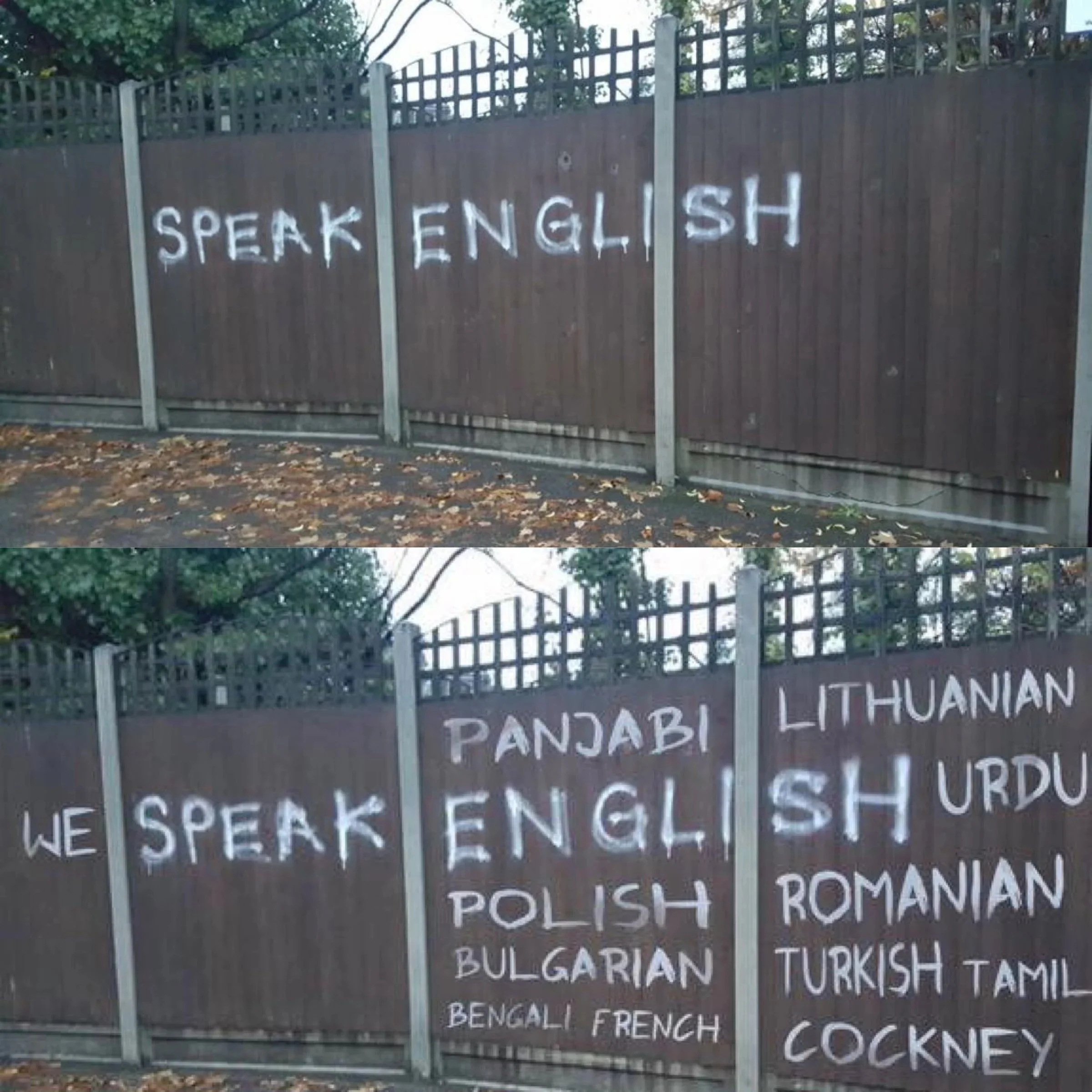 Linguistic Repression in the USA 