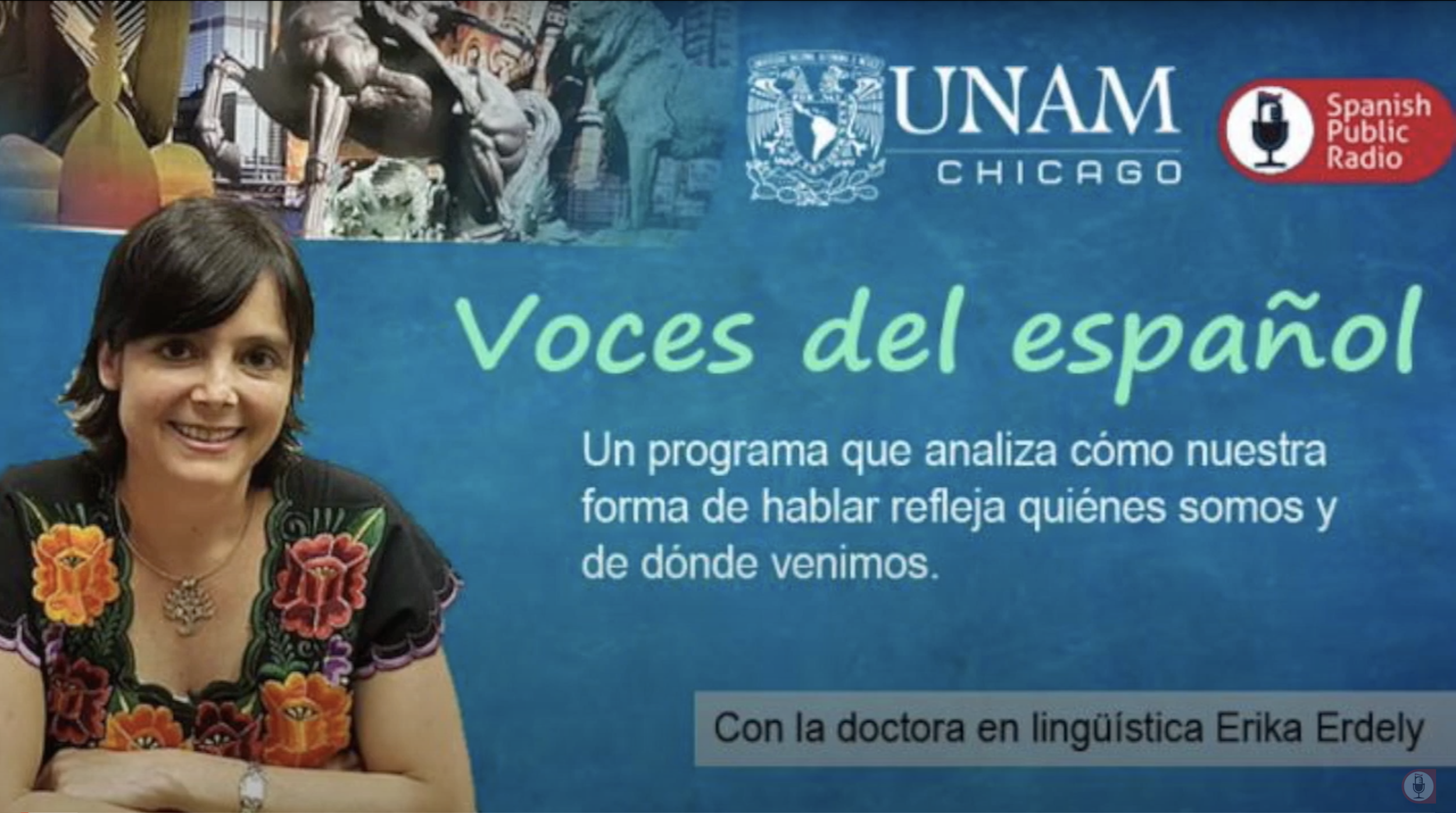 El Bullying Lingüístico