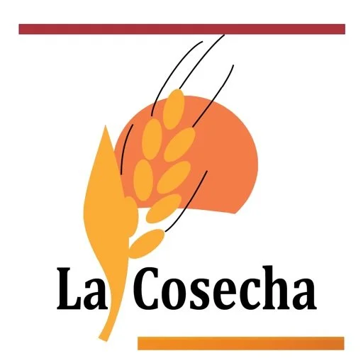 ¿Por Qué es Importante Respetar La Variación Gramatical?