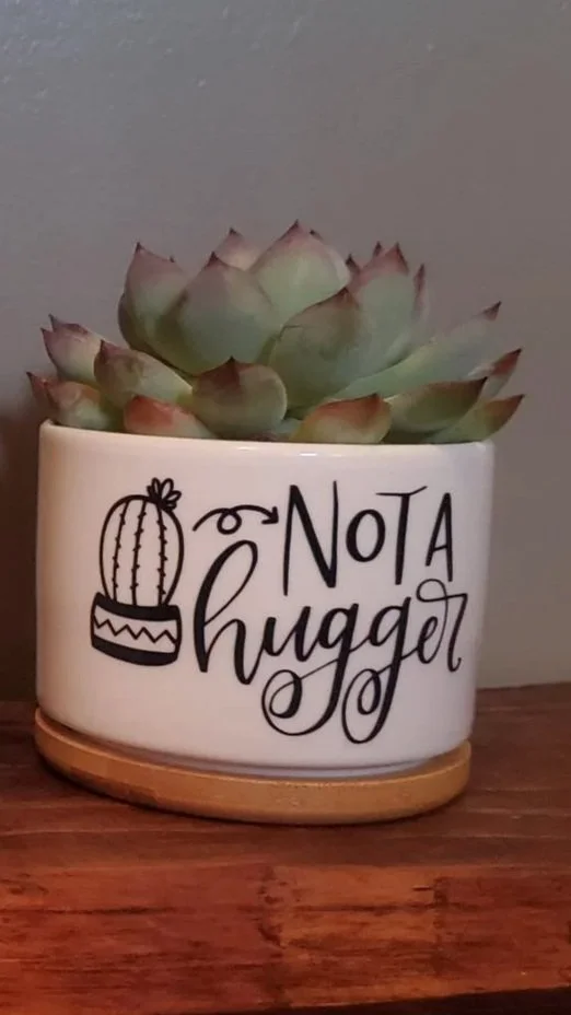 🌵 Not a Hugger Succulent Planter