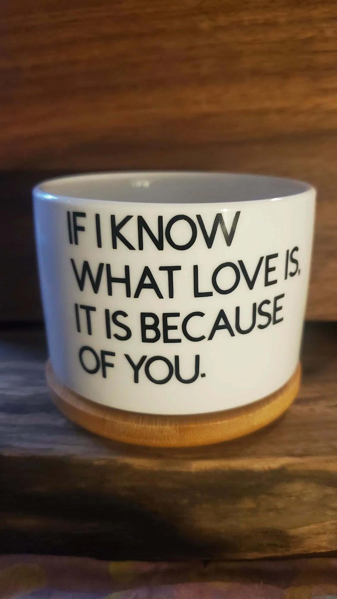 ❤️  If I Know What Love Is Succulent Planter