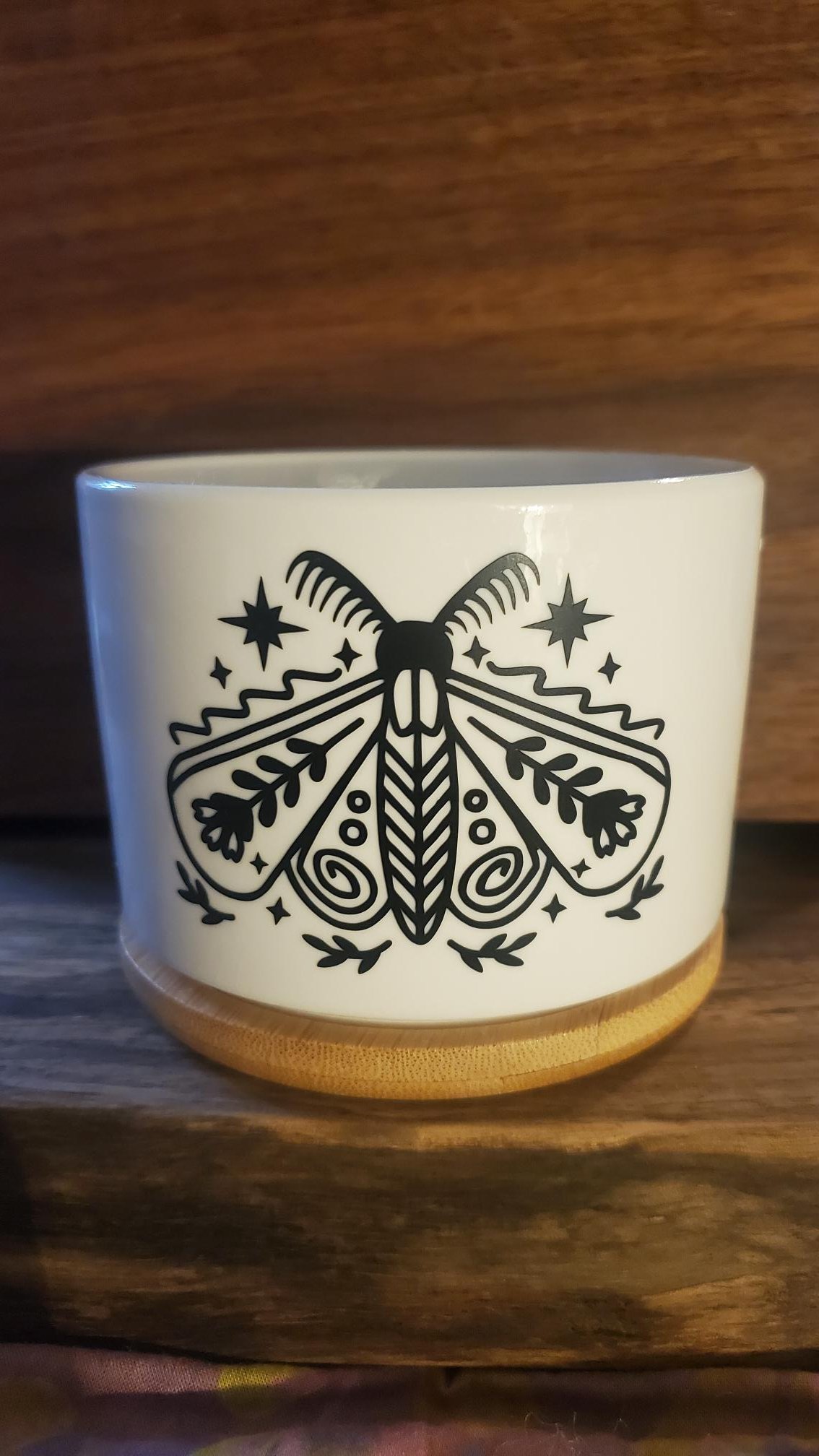 🦋  Boho Moth Succulent Planter