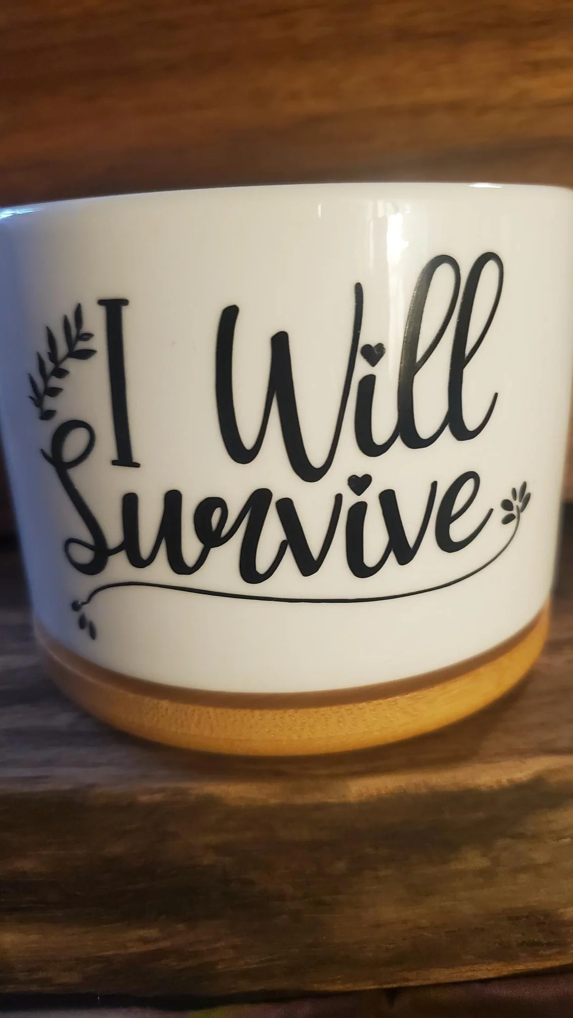 💚 I Will Survive Succulent Planter