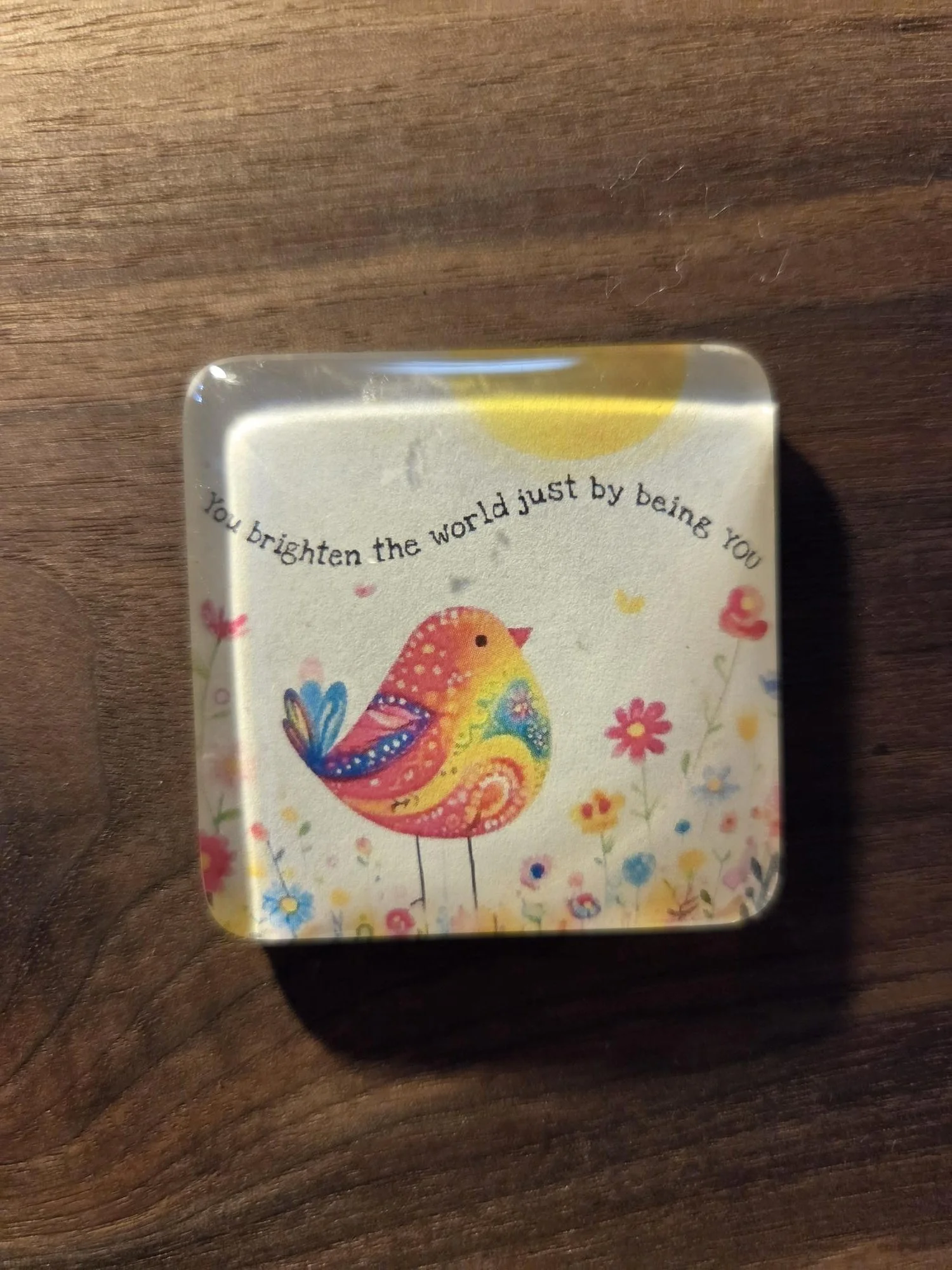 🐦Rainbow Bird Glass Magnet