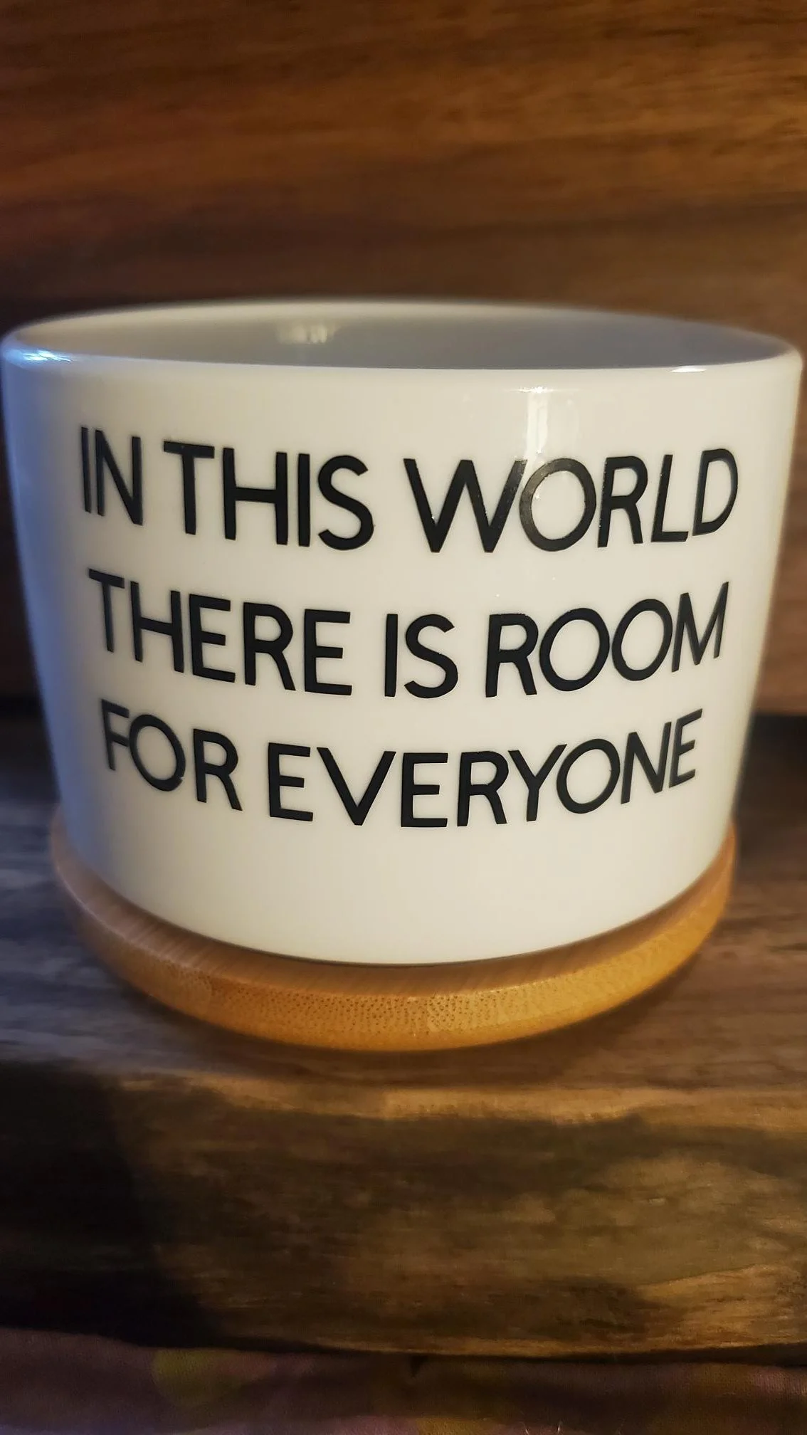 🌎In This World There Is Room for Everyone Succulent Planter